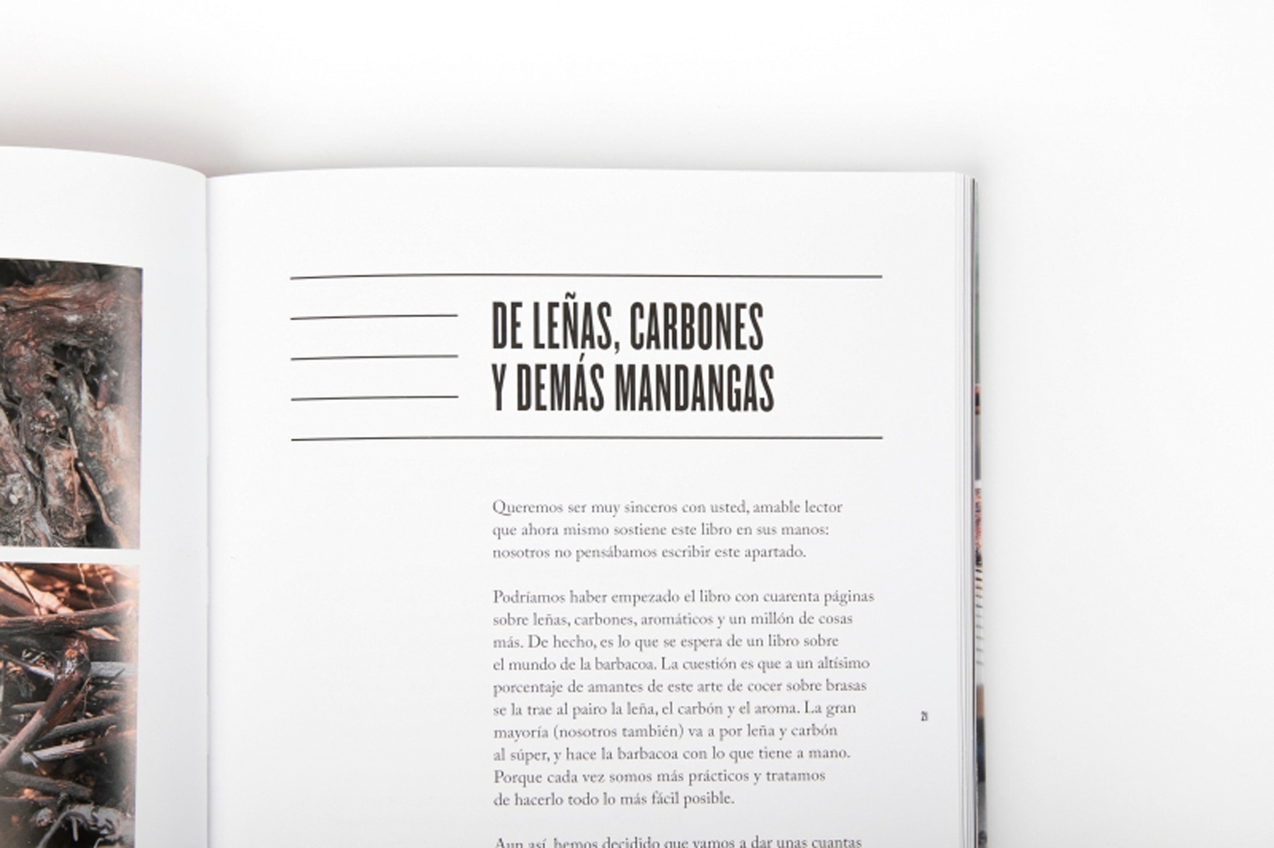 La barbacoa (Capa mole) 15