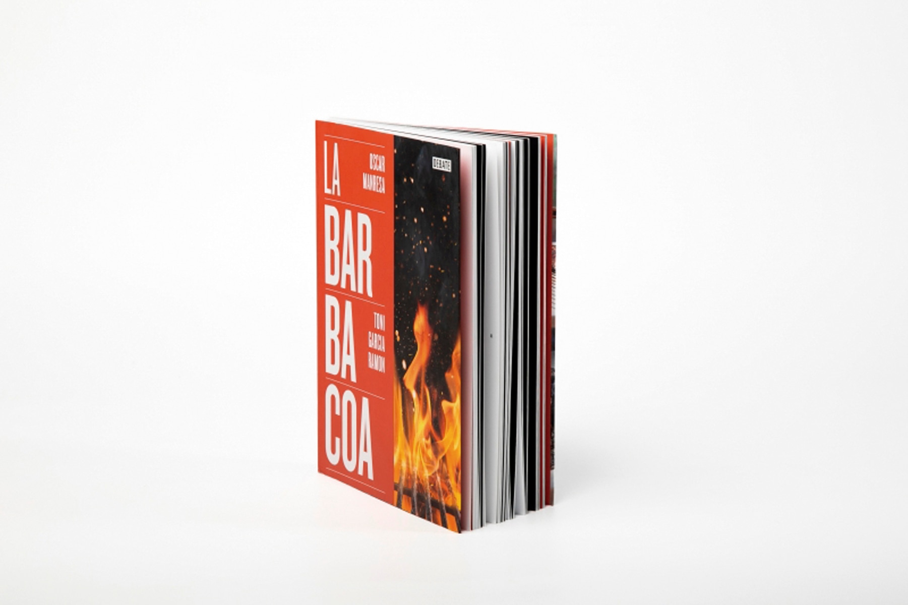 La barbacoa (Capa mole) 16