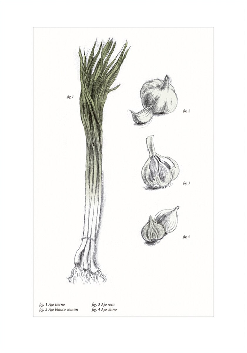 1460 recetas para disfrutar las verduras todo el año (Capa dura) 3