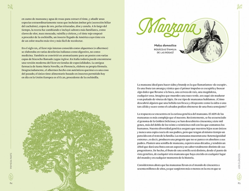 Botánica para cócteles: Las plantas que han dado origen a las mejores bebidas del mundo (Capa mole) 5
