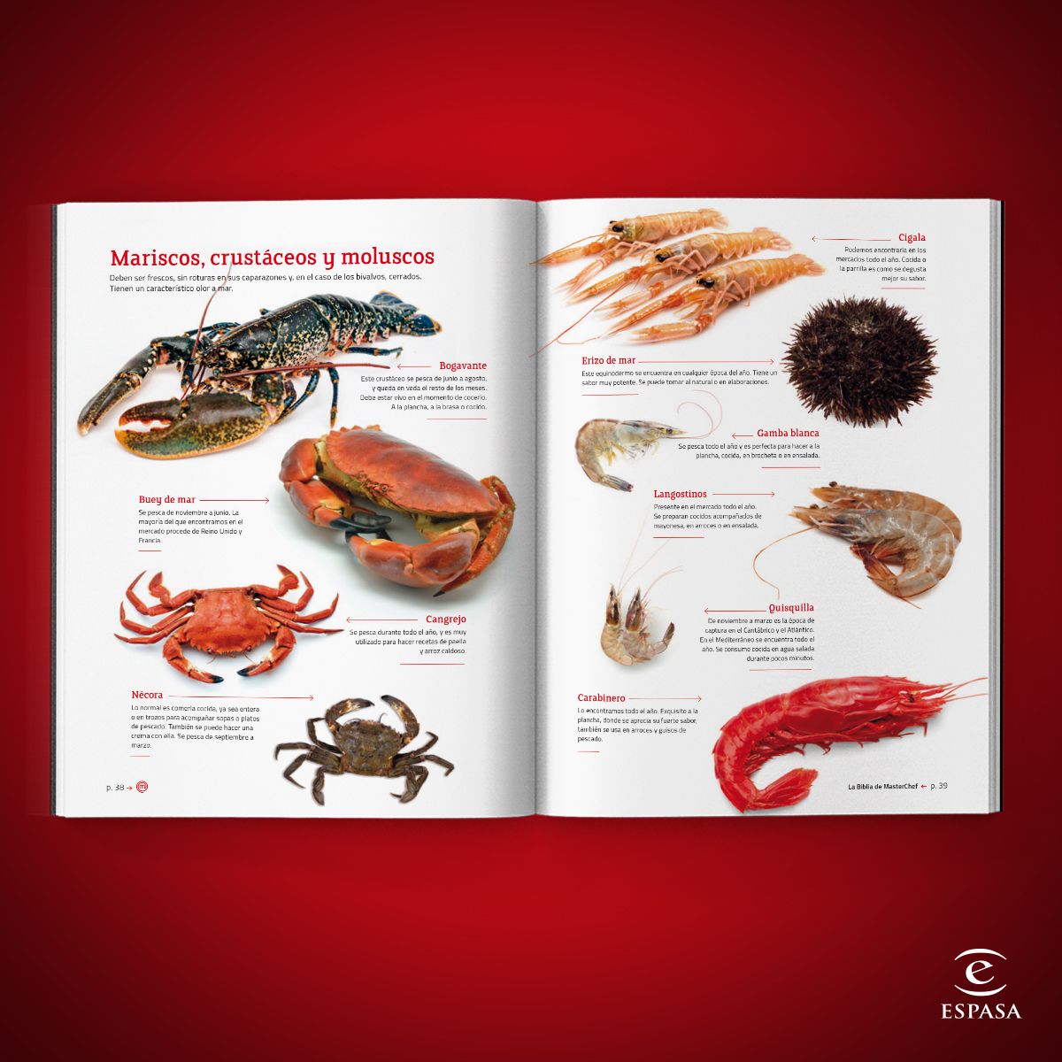 La Biblia de MasterChef. Las recetas: Todas las recetas que necesitas para cocinar como el mejor (Bolso) 7