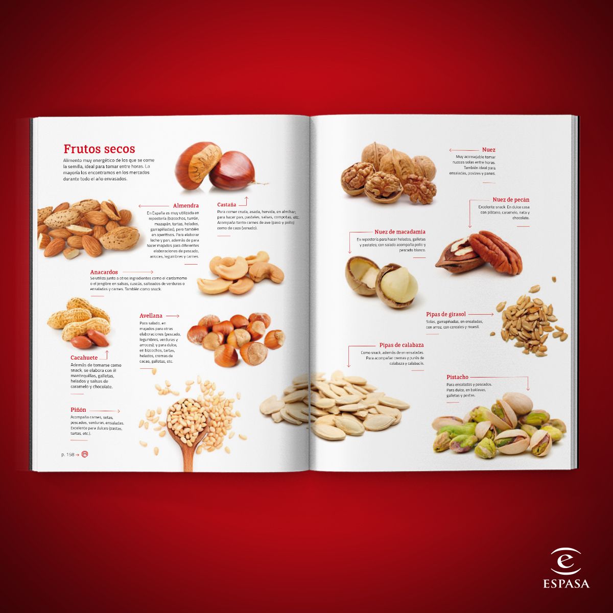 La Biblia de MasterChef. Las recetas: Todas las recetas que necesitas para cocinar como el mejor (Bolso) 9