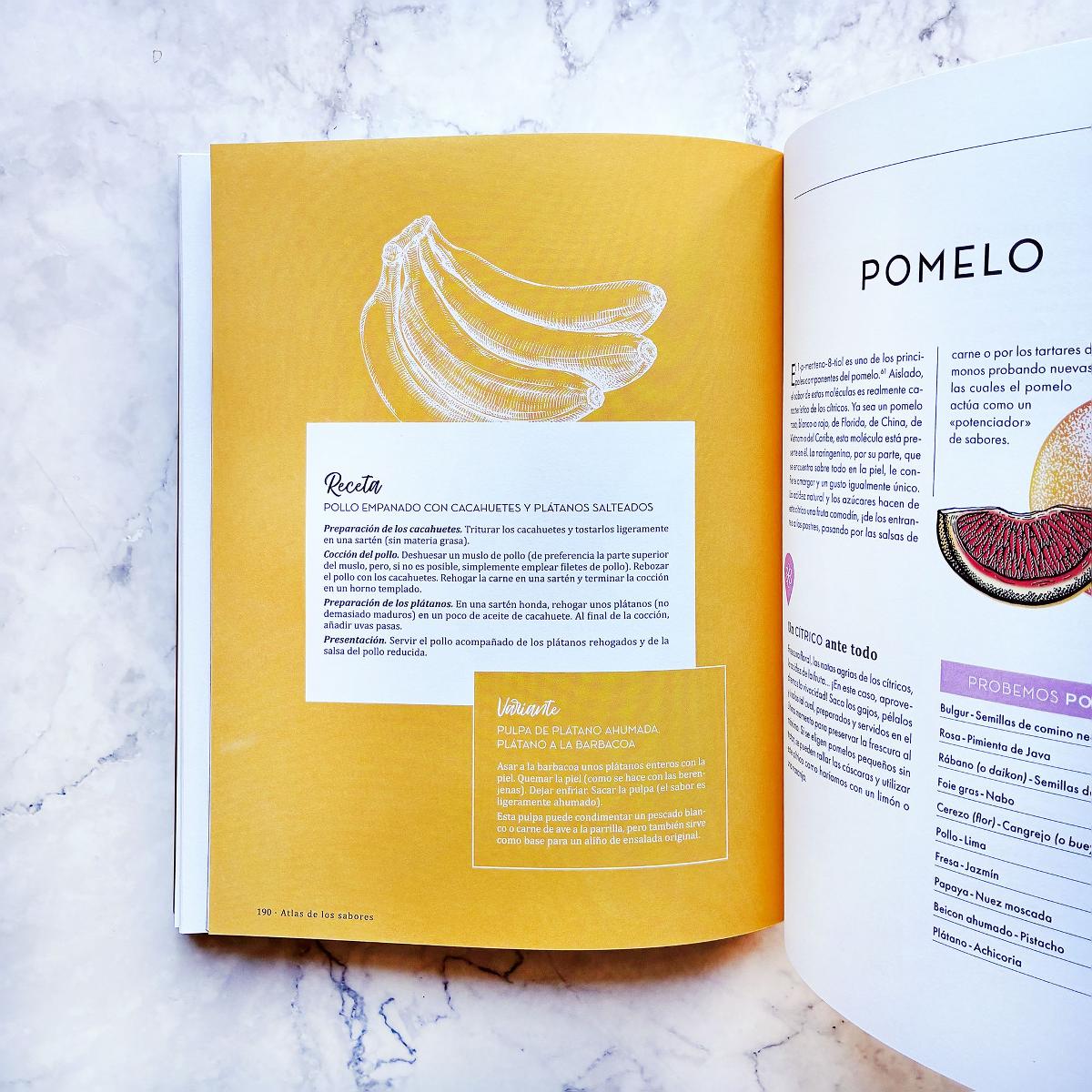 Atlas de los sabores: 1.500 combinaciones creativas y recetas inspiradoras (Capa mole com abas) 2