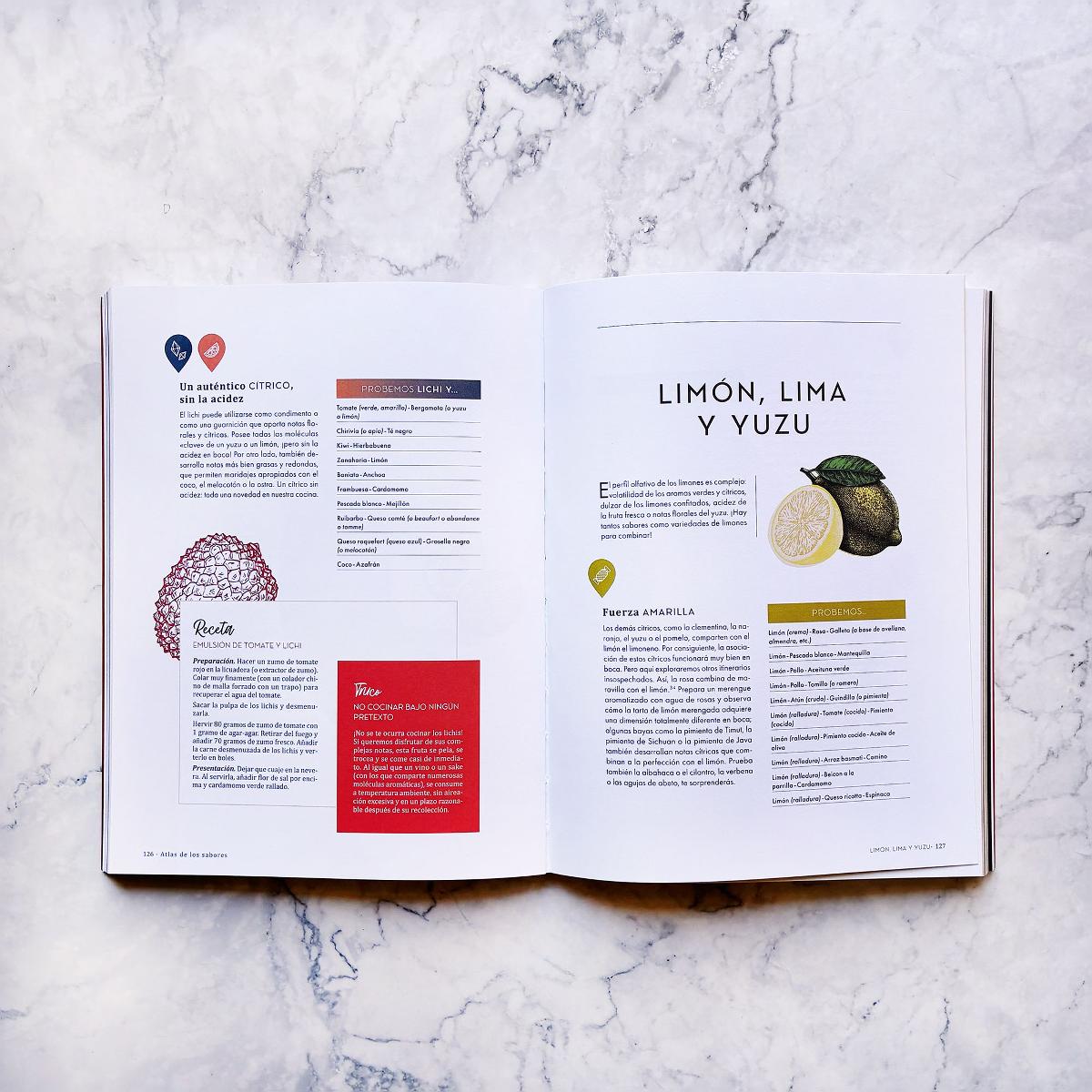 Atlas de los sabores: 1.500 combinaciones creativas y recetas inspiradoras (Capa mole com abas) 3