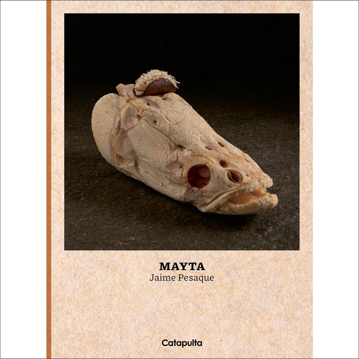 Mayta (Capa dura) 1