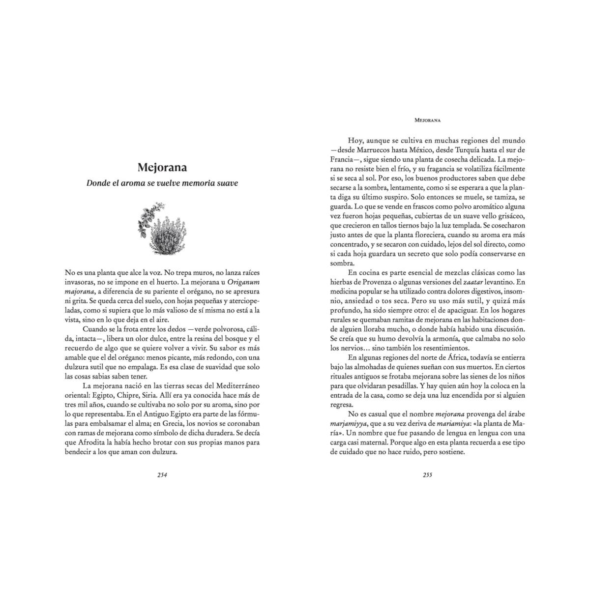 El alma de las especias: Historias, usos y mitos del desconocido mundo de las especias (Capa mole) 2