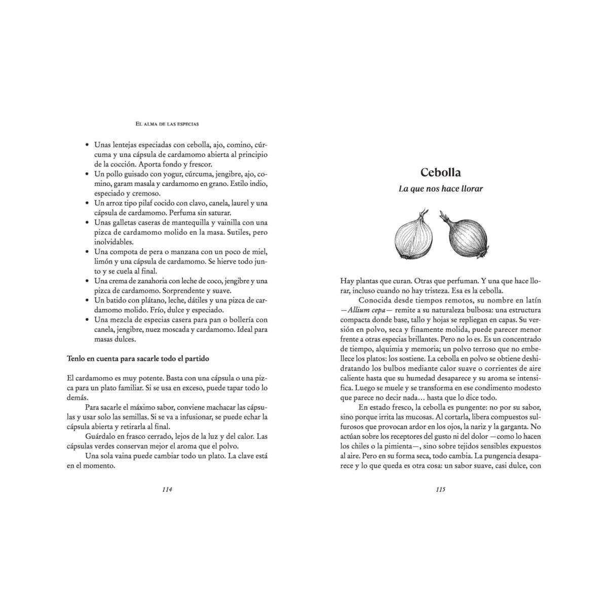 El alma de las especias: Historias, usos y mitos del desconocido mundo de las especias (Capa mole) 3