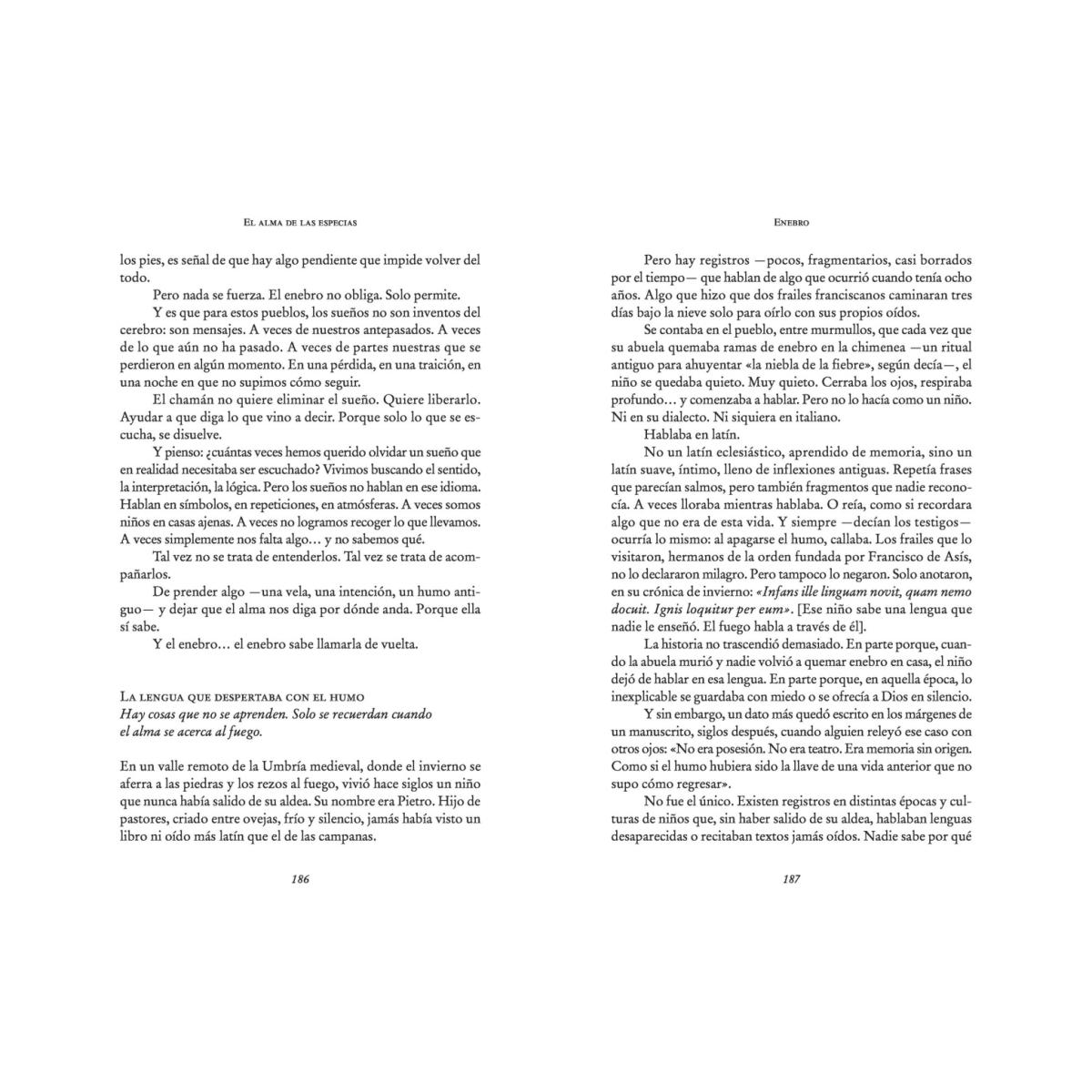 El alma de las especias: Historias, usos y mitos del desconocido mundo de las especias (Capa mole) 5