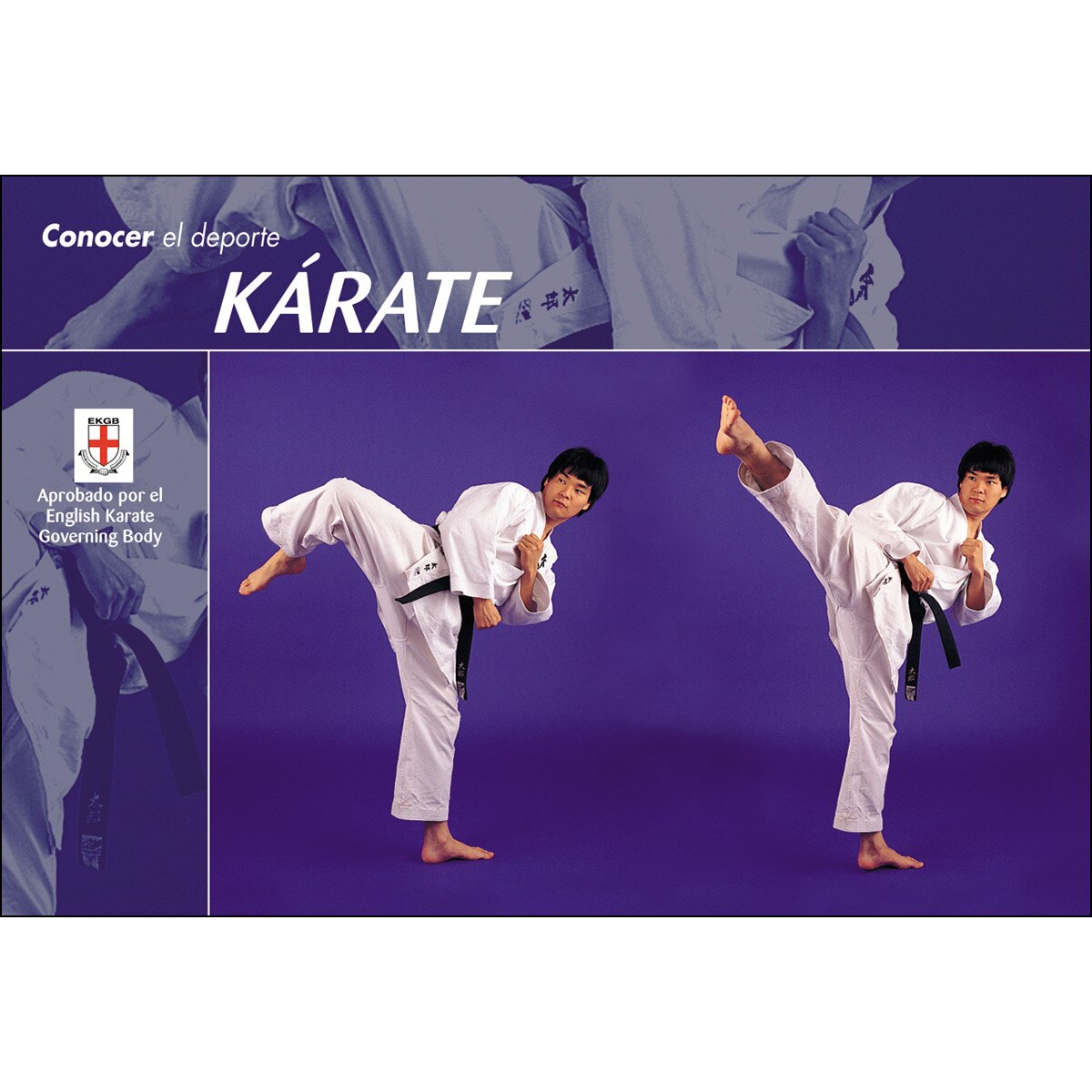 Imagen 0 de Conocer el deporte. Kárate