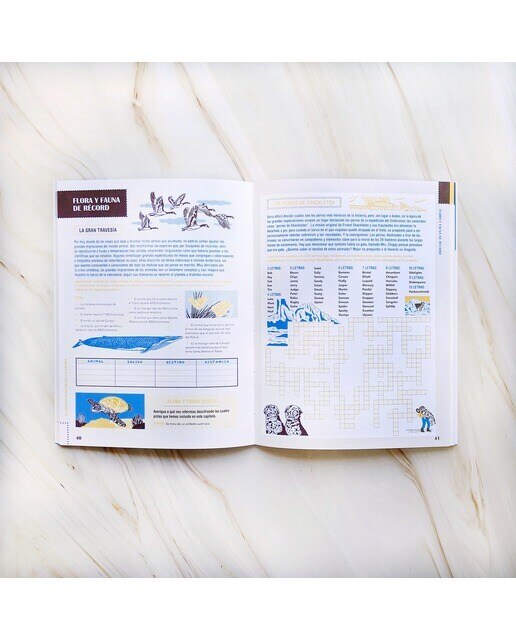 Cuaderno de actividades para mentes viajeras vol. 4  (Tapa blanda) 4