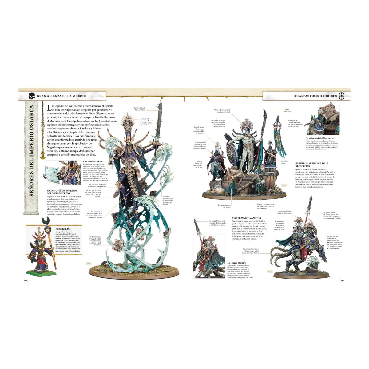 Imagen 8 de WARHAMMER AGE OF SIGMAR. LA GUÍA VISUAL (Tapa dura)