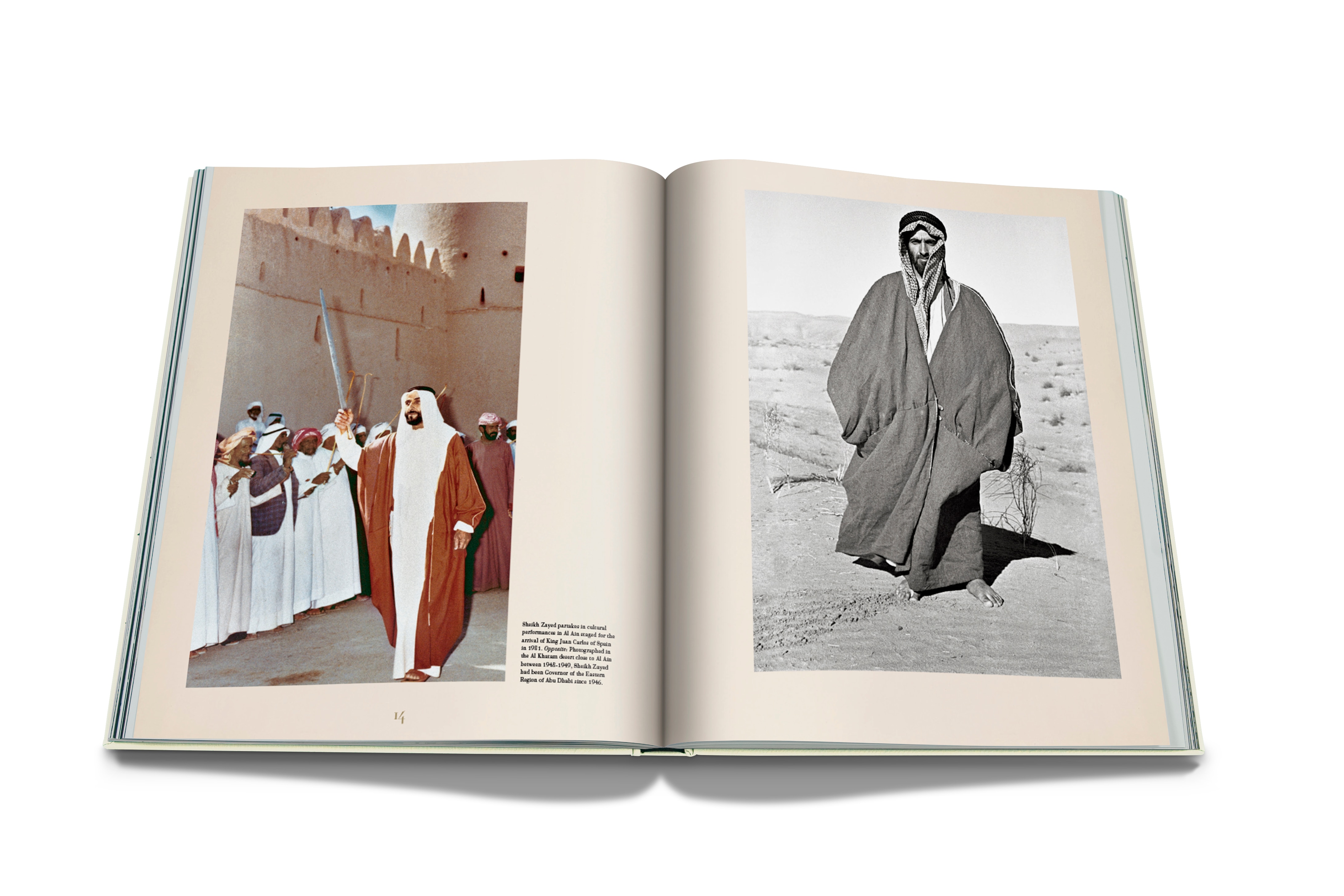 Sheikh zayed 2