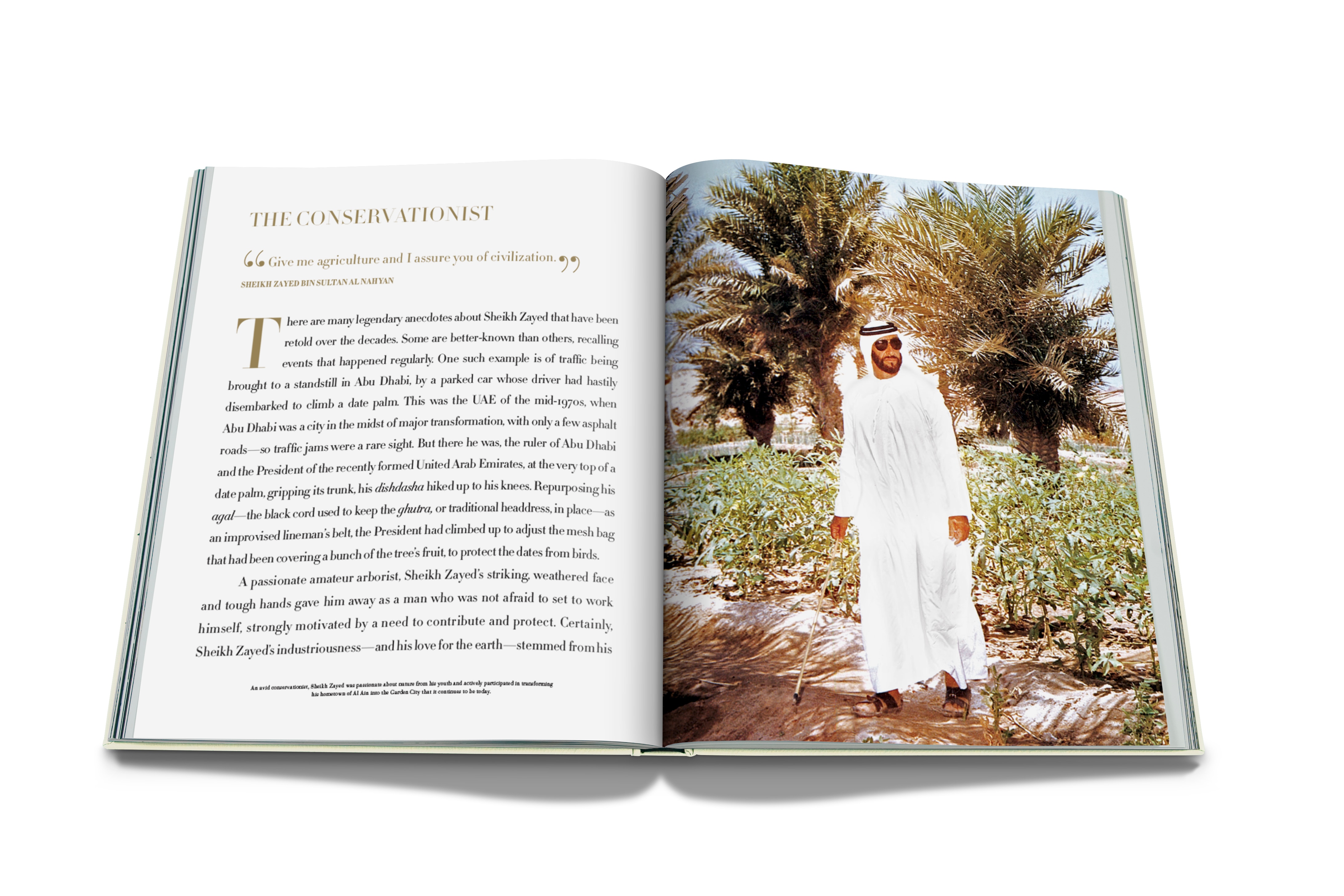 Sheikh zayed 8