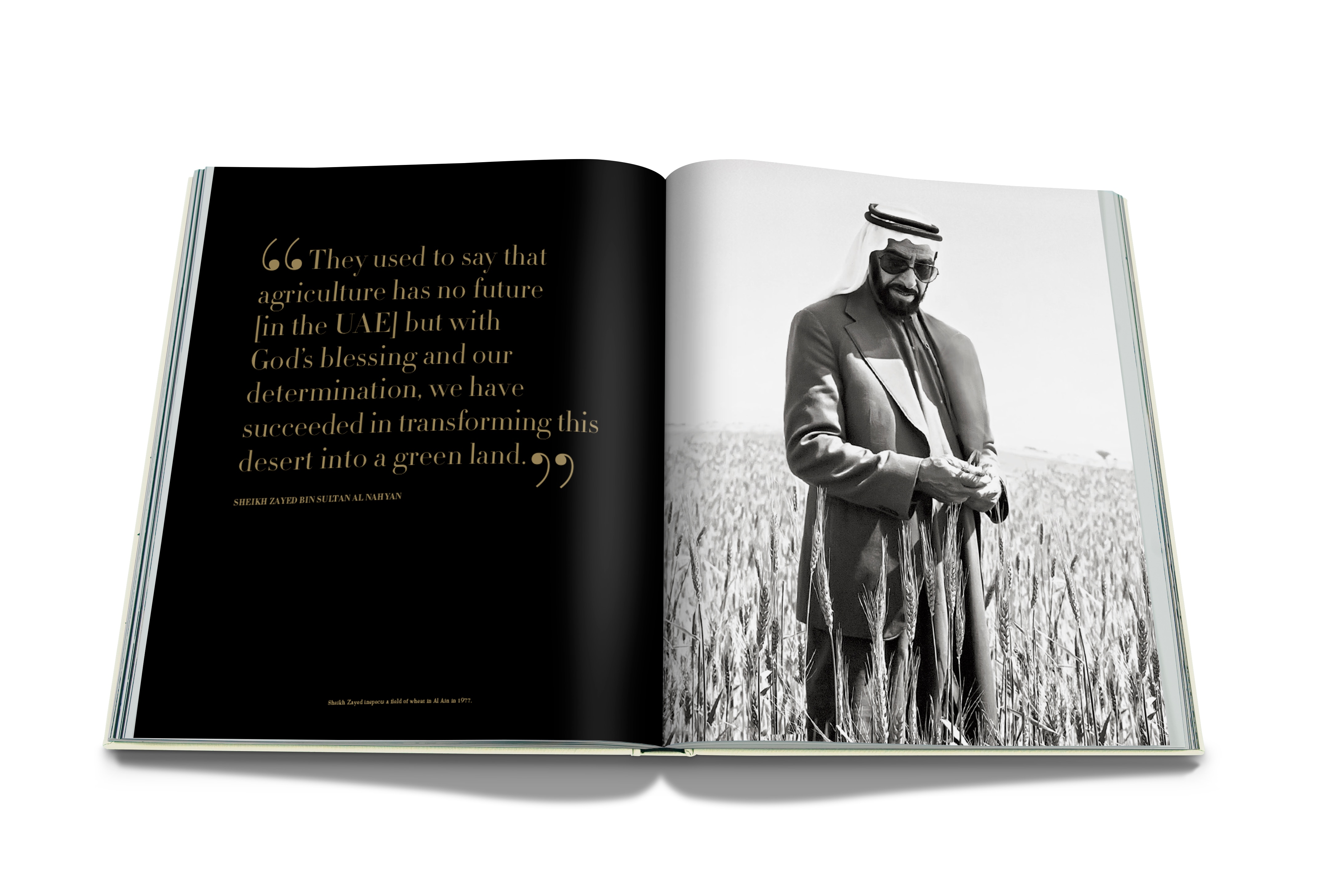 Sheikh zayed 10