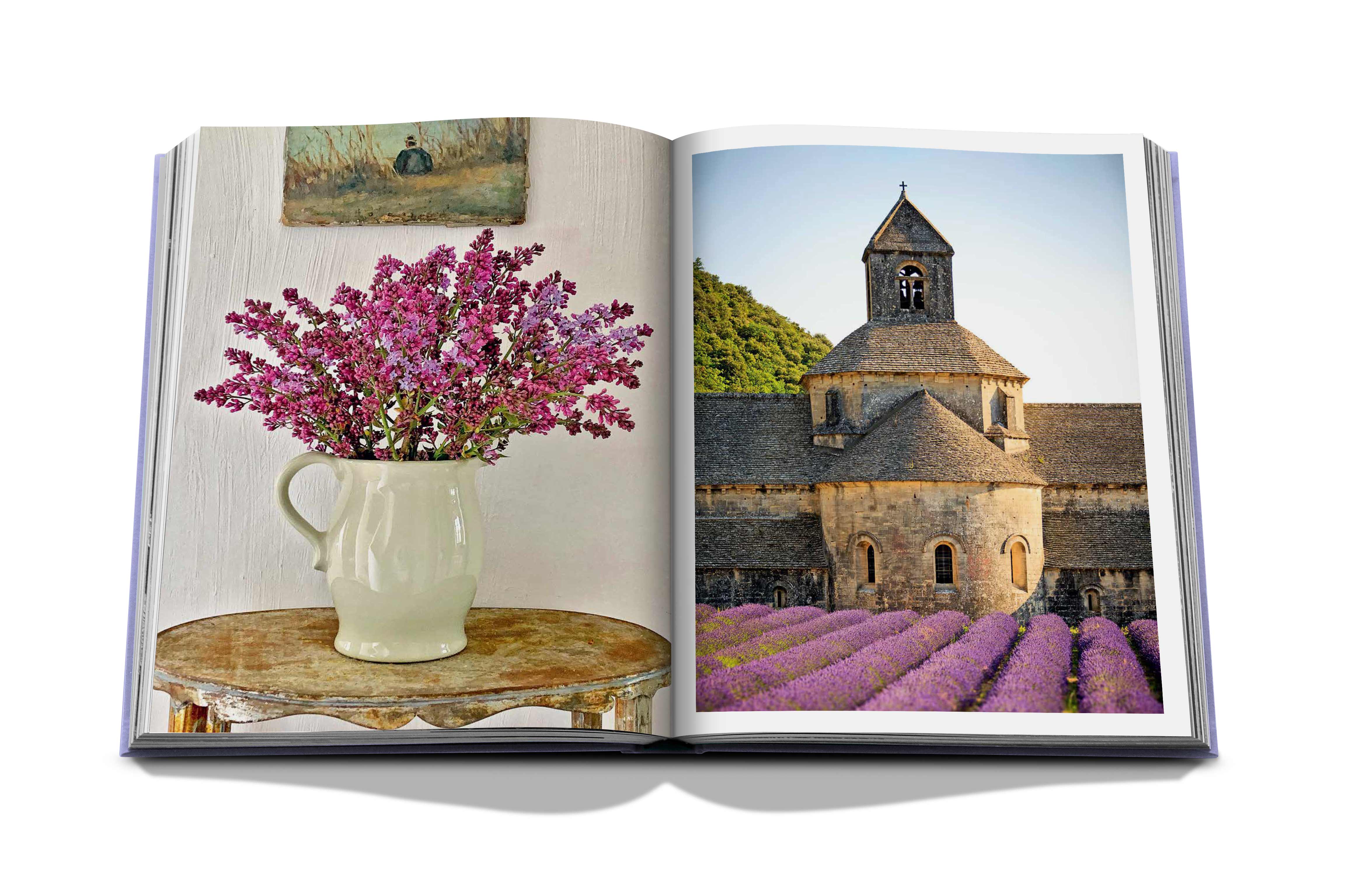 Provence glory 10
