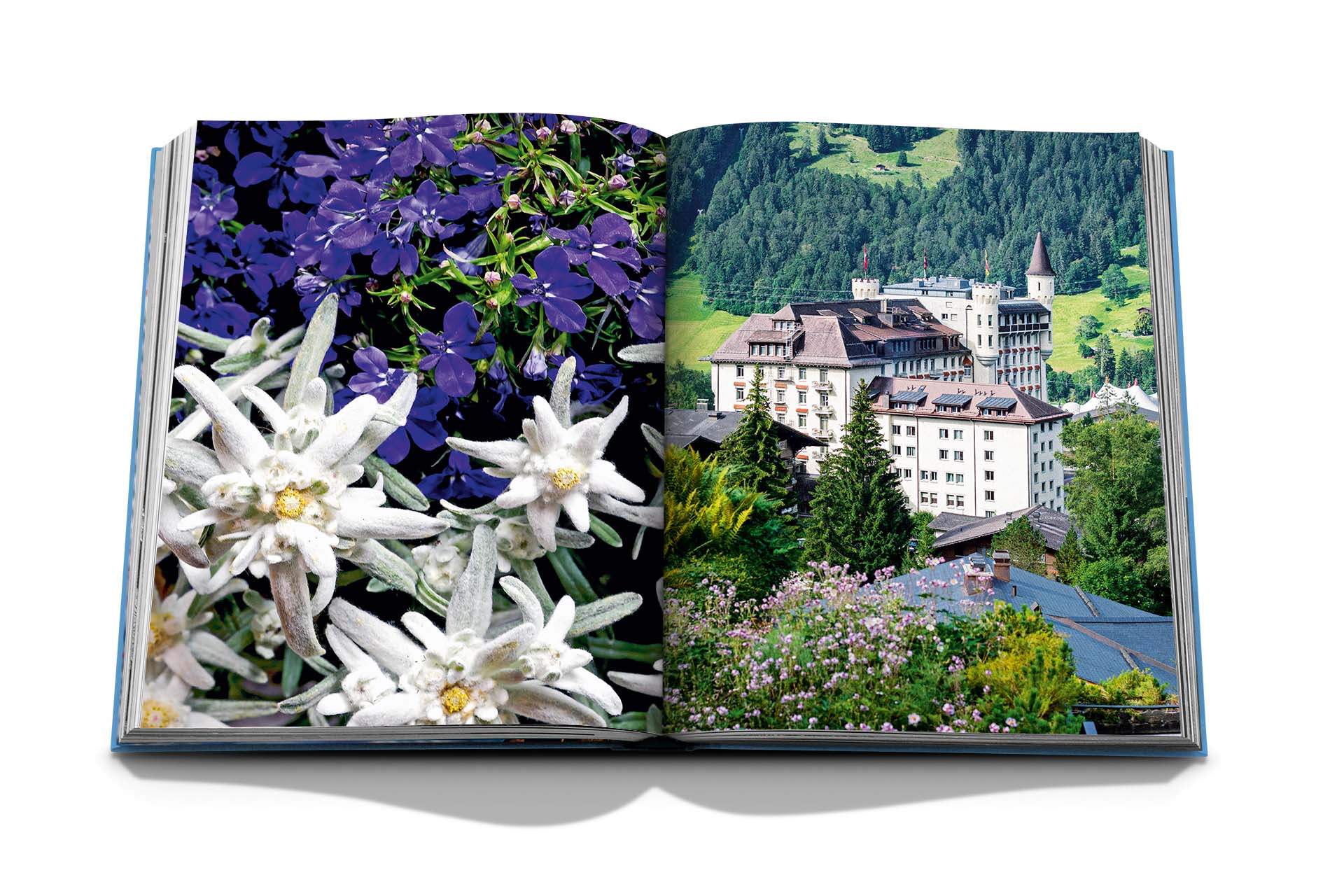 Gstaad glam 8