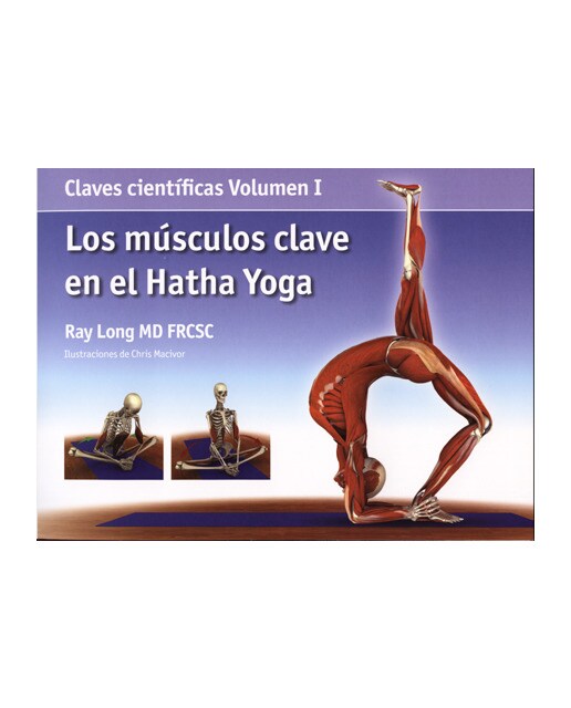 Los Músculos Clave En El Hatha Yoga 1