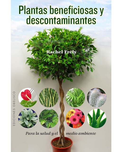 Plantas Beneficiosas Y Descontaminantes 1