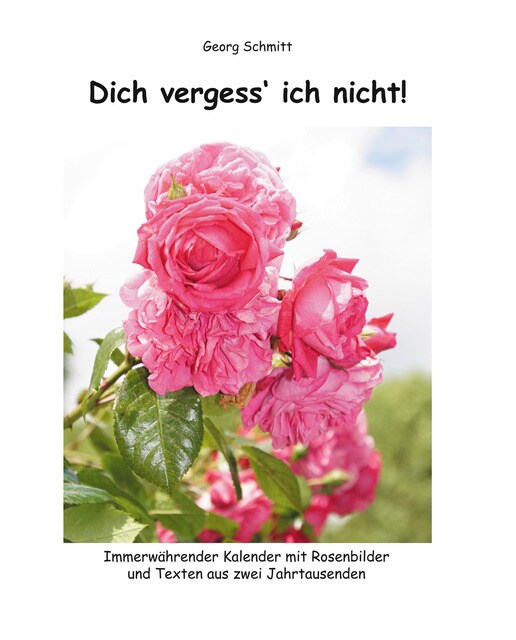 Dich vergess' ich nicht 1