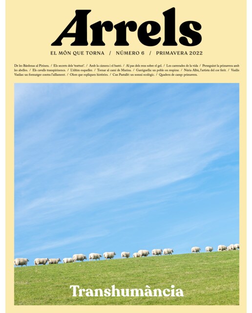 Arrels #6 1