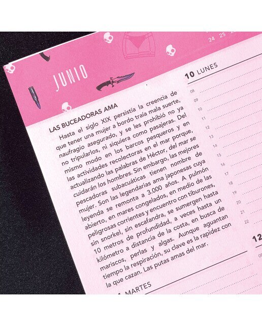 Agenda para mujeres peligrosas (2024): Usar con precaución 3