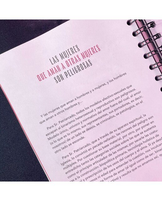 Agenda para mujeres peligrosas (2024): Usar con precaución 7