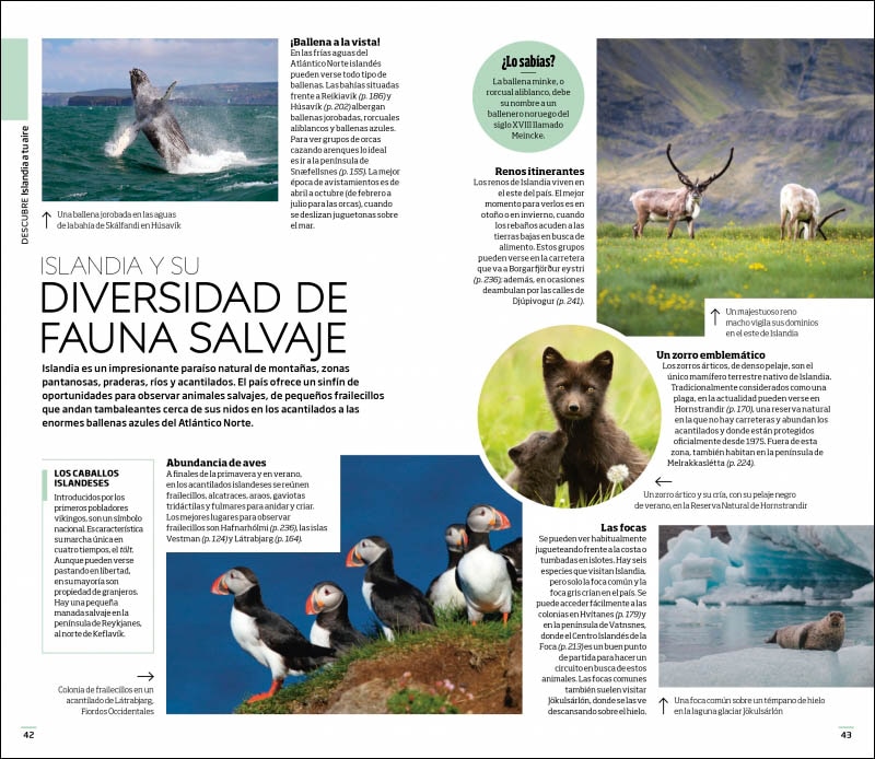 Islandia (Guías Visuales): Inspírate, planifica, descubre, explora (Capa mole) 4