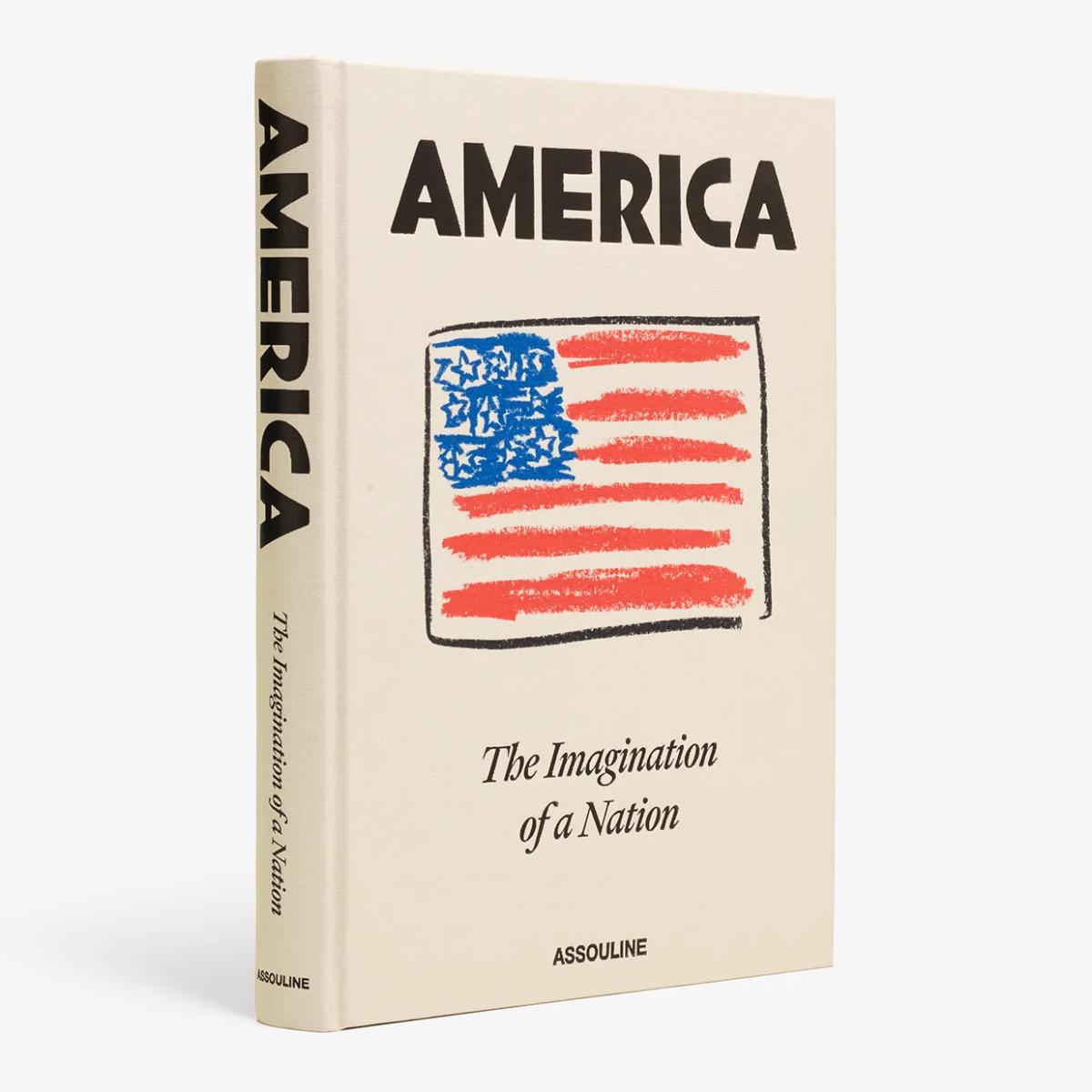 Imagem 0 de America : the imagination of a nation