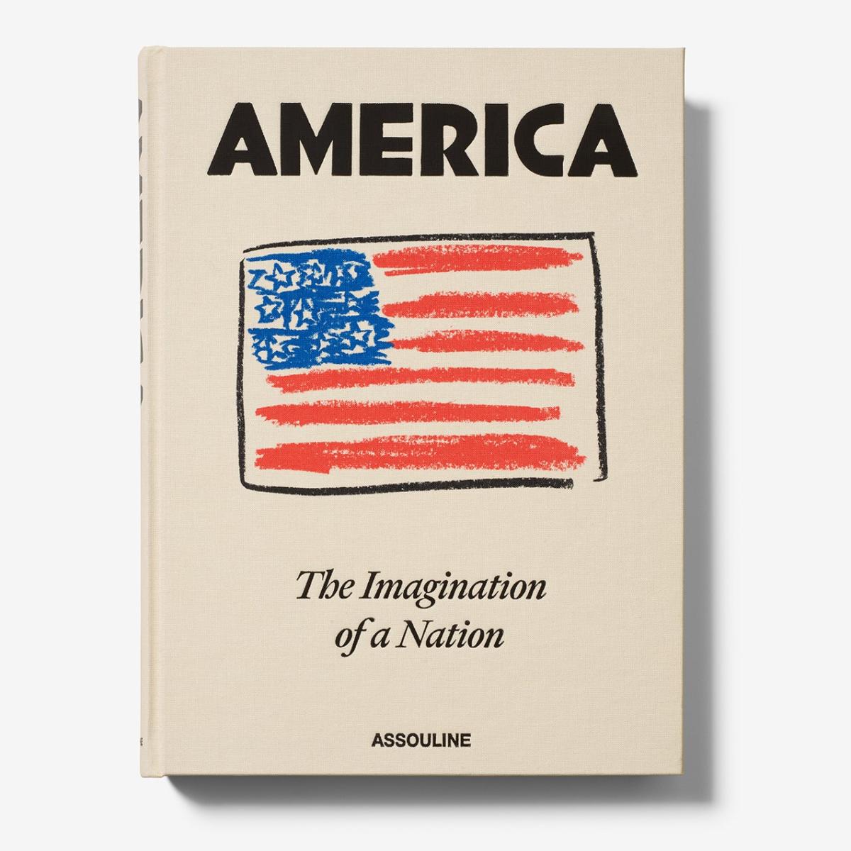 America : the imagination of a nation 2