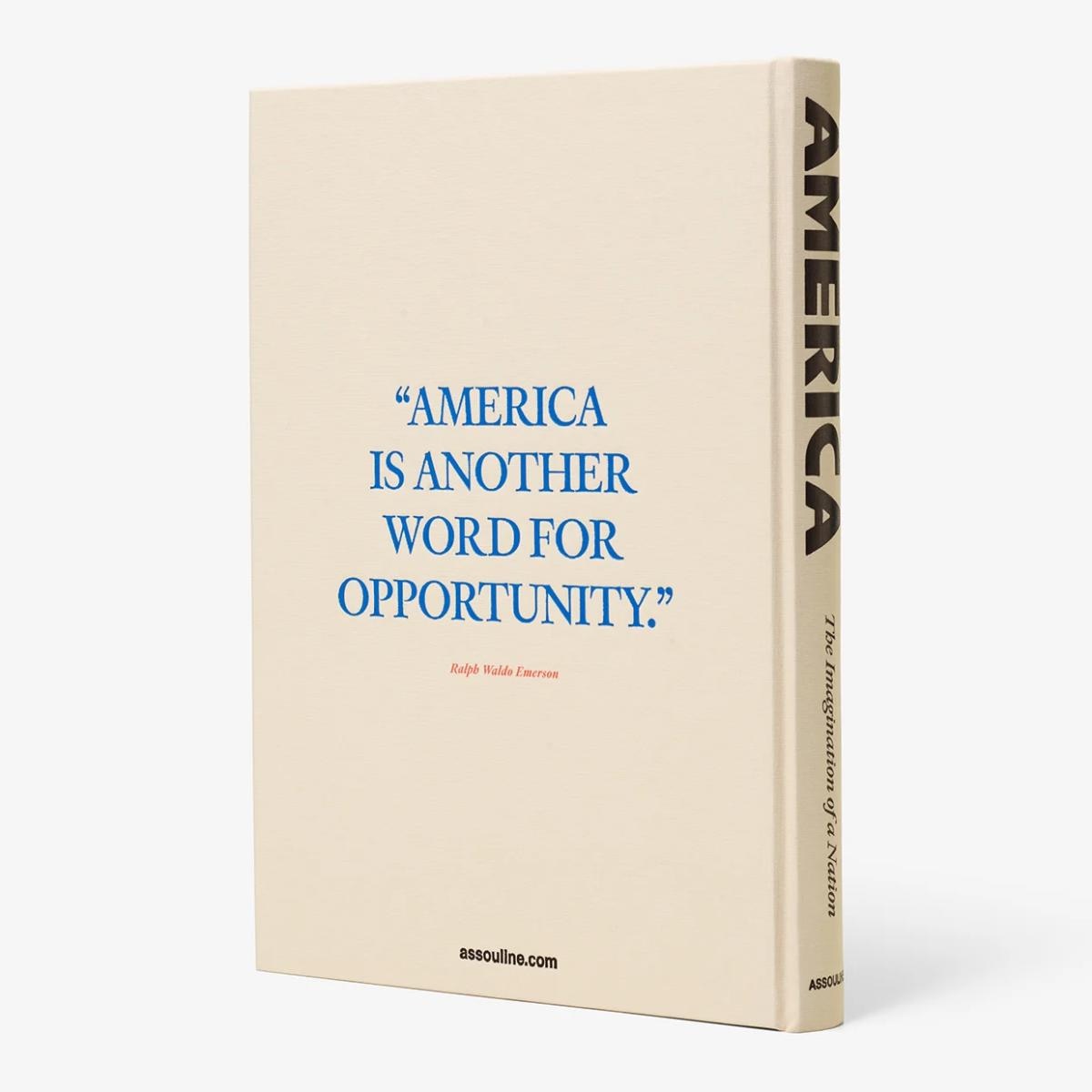 America : the imagination of a nation 3