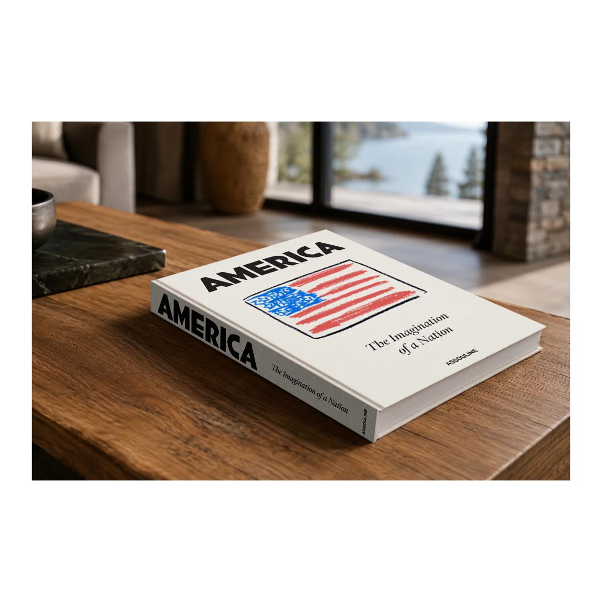 America : the imagination of a nation 15