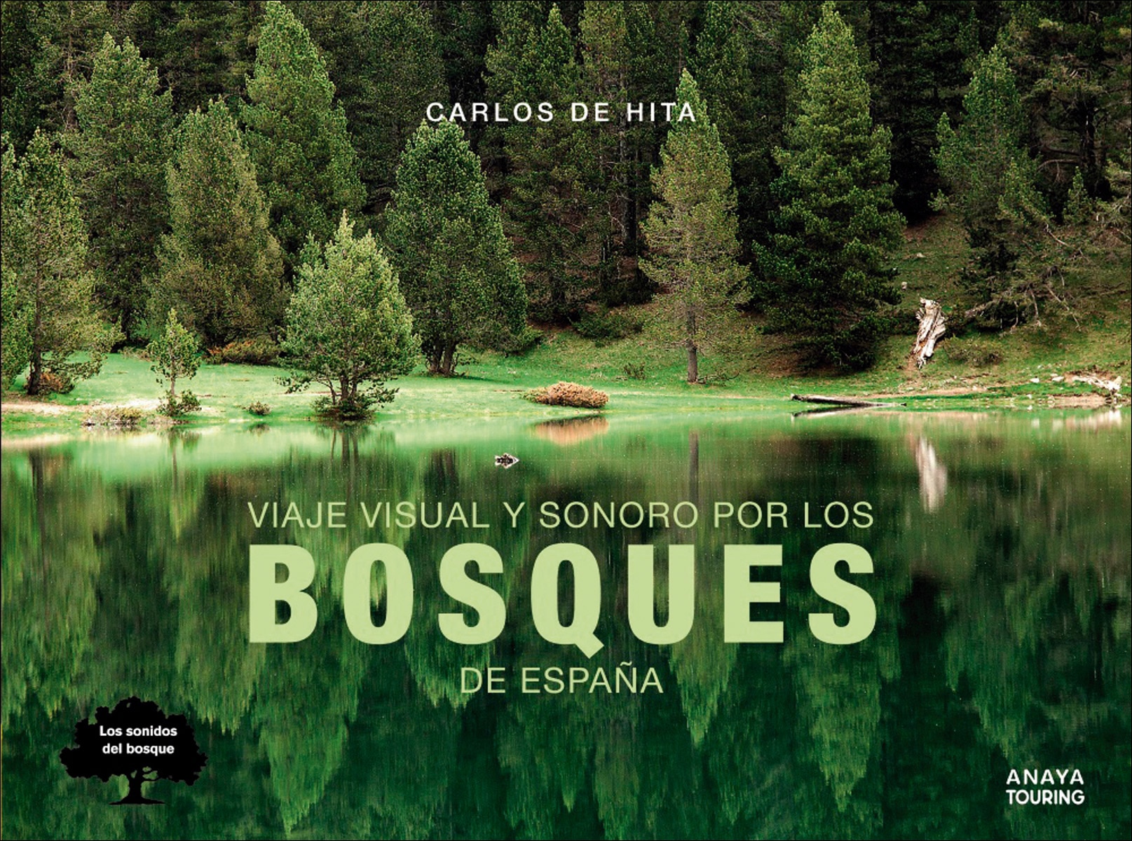 Imagen 0 de Viaje visual y sonoro por los bosques de España  (Tapa blanda Tapa blanda con solapas)