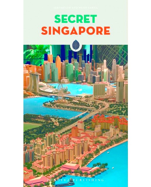 Secret singapore 1