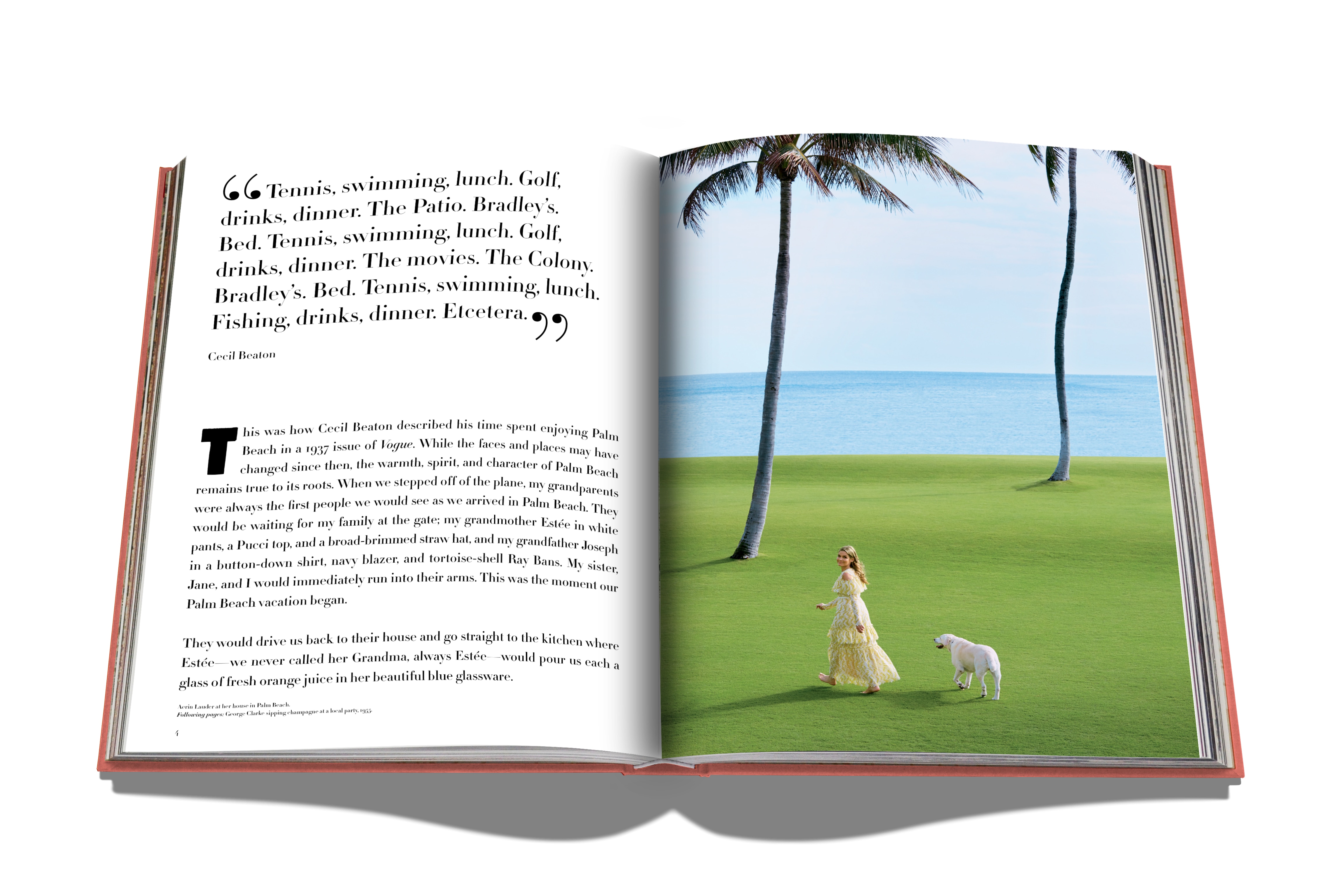 Palm beach 4