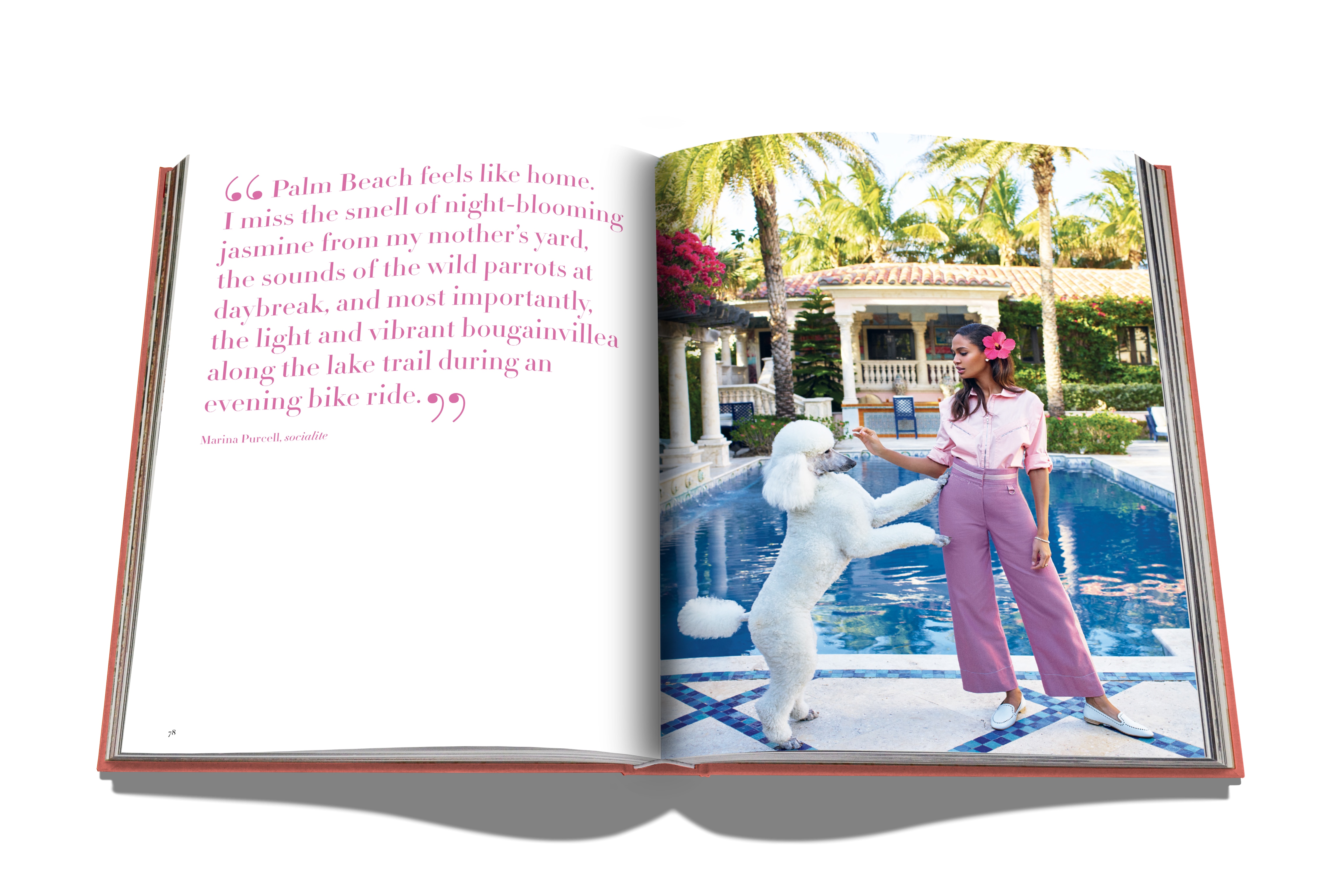 Palm beach 9