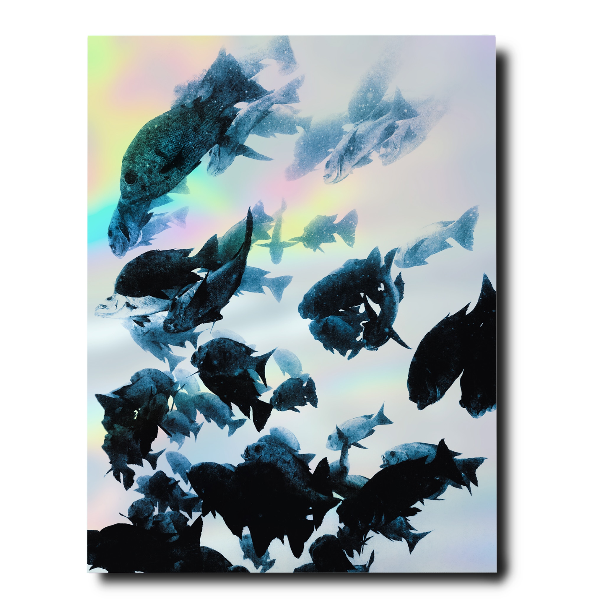 The Coral Triangle (Tapa dura) 2