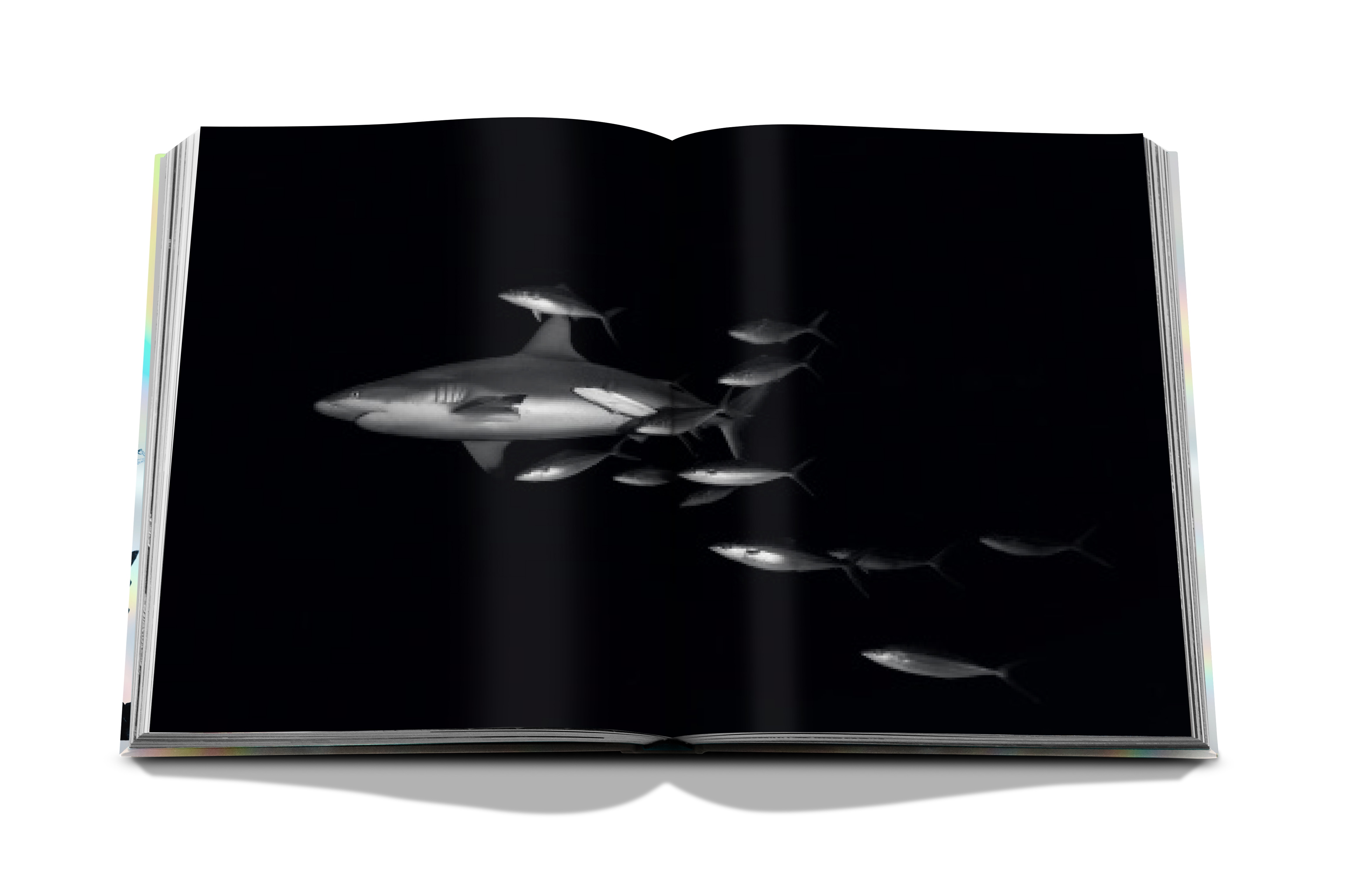 The Coral Triangle (Tapa dura) 8