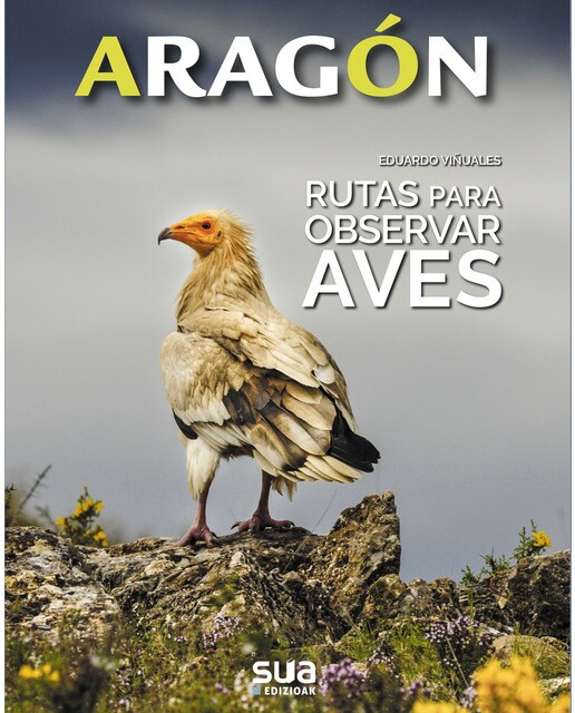 Imagen 0 de Rutas para observar Aves  (Tapa blanda)