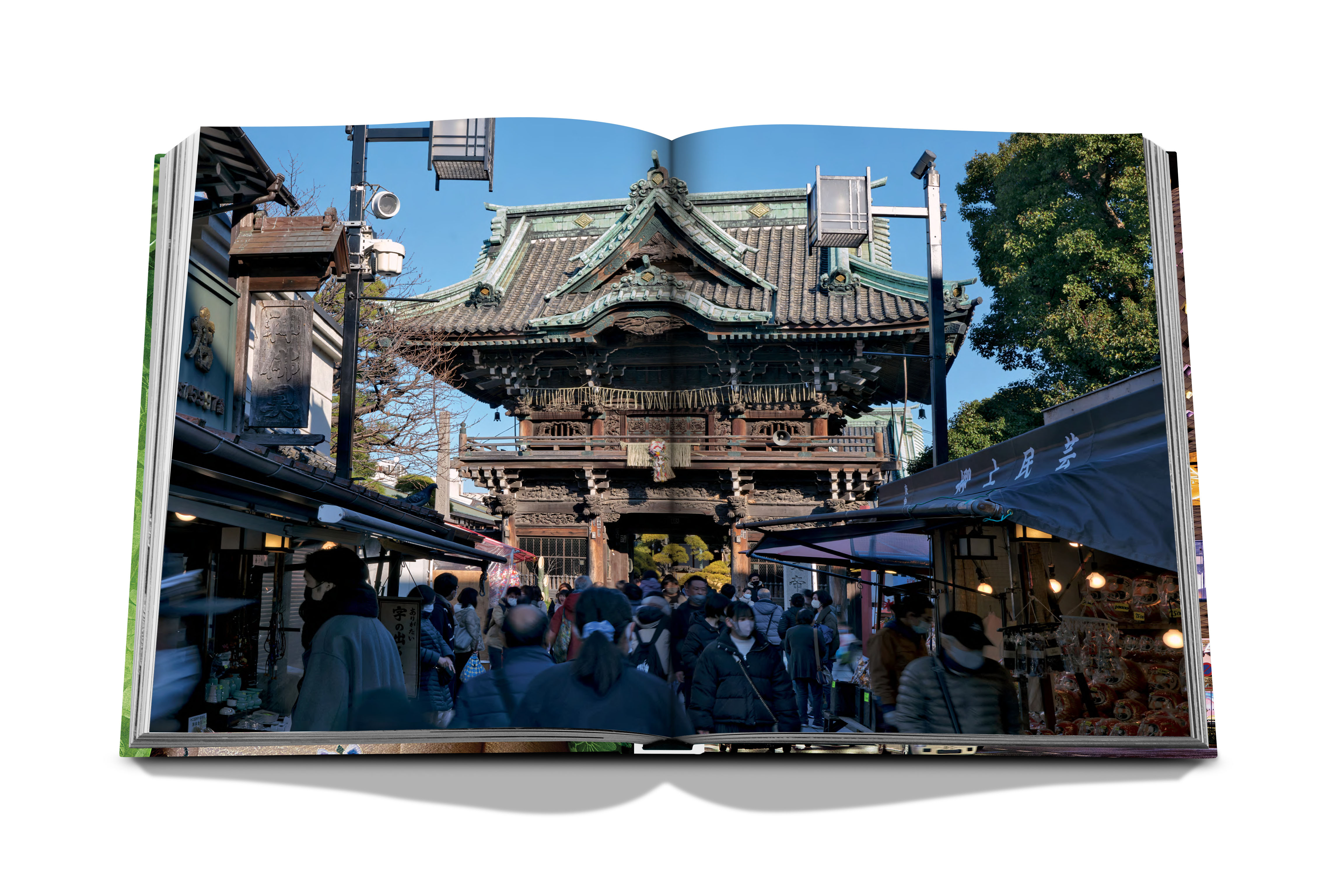 Tokyo chic 7