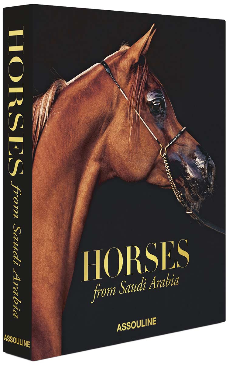 Horses from saudi arabia 1