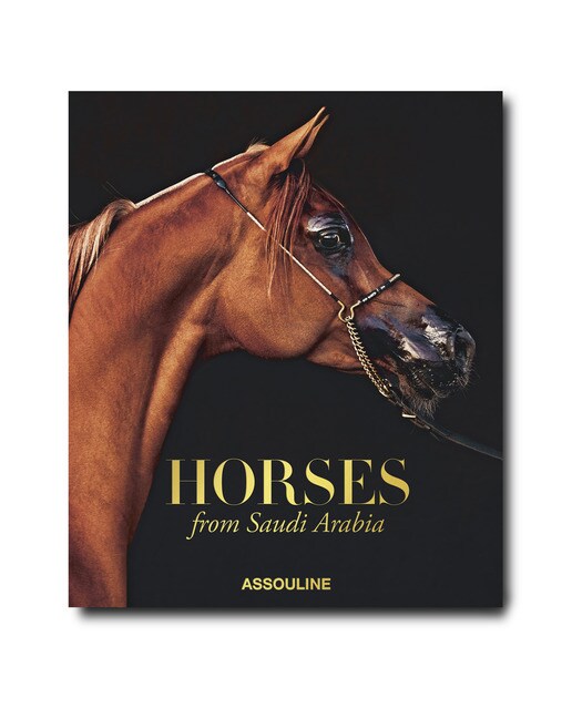 Horses from saudi arabia 2