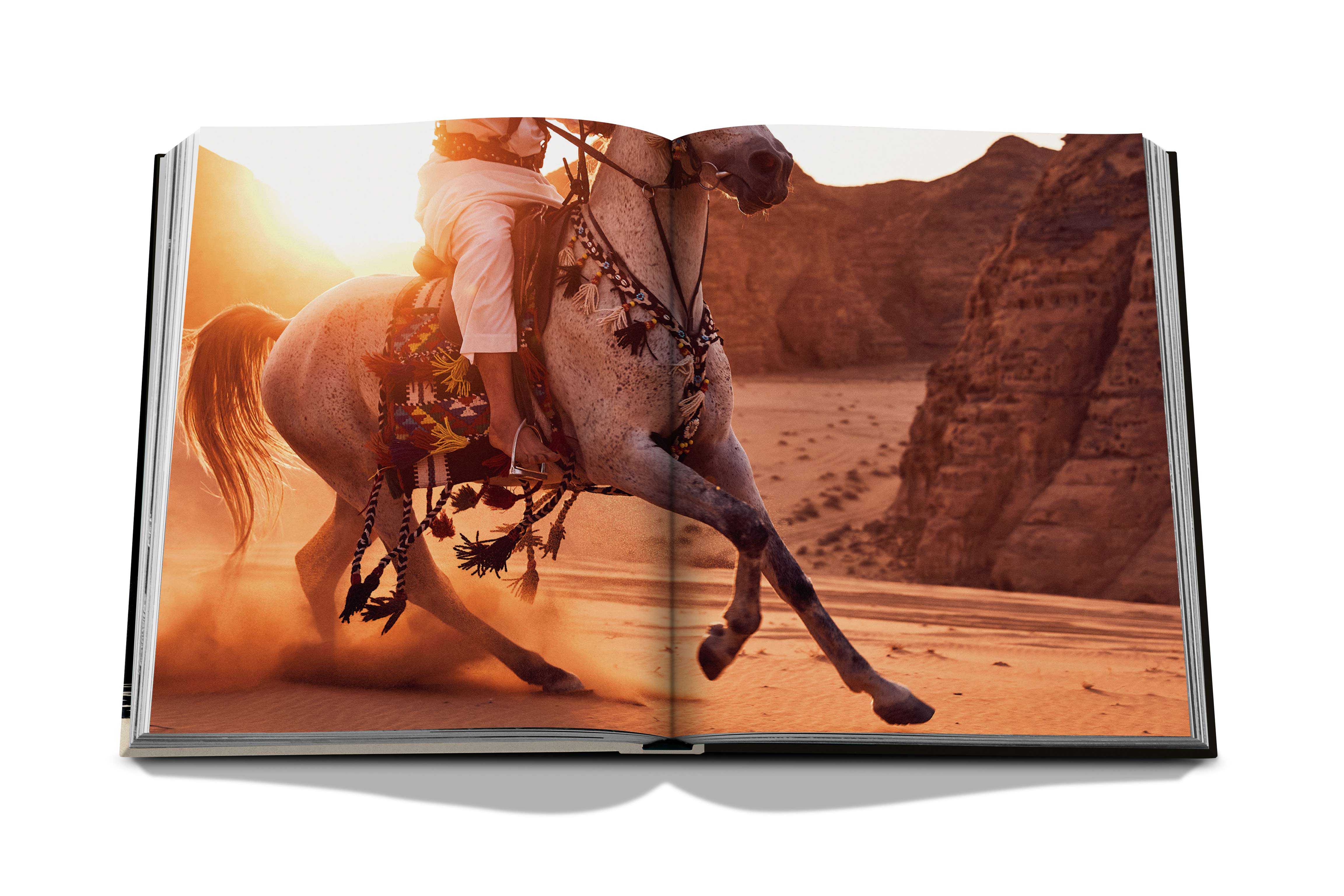 Horses from saudi arabia 6