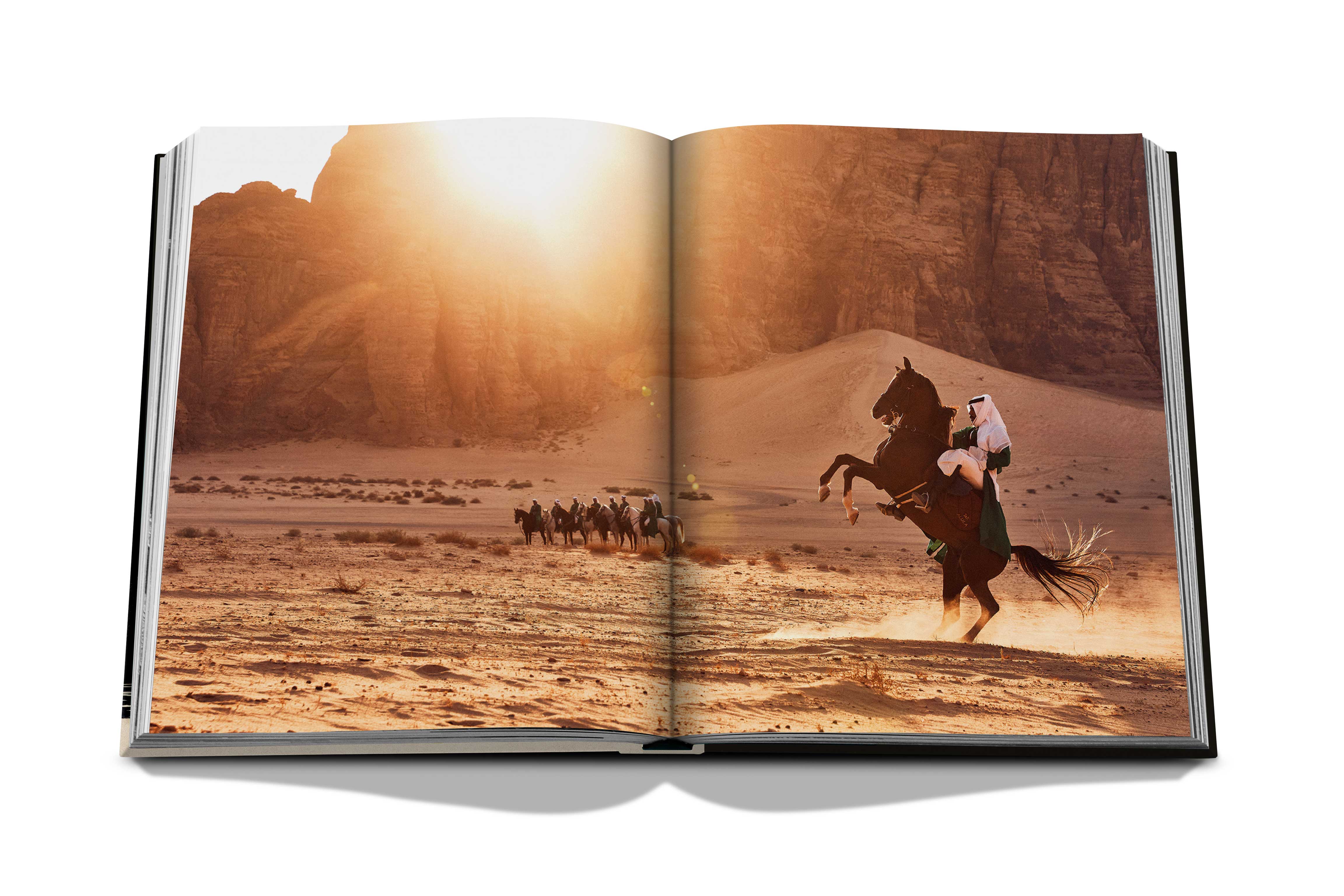 Horses from saudi arabia 8