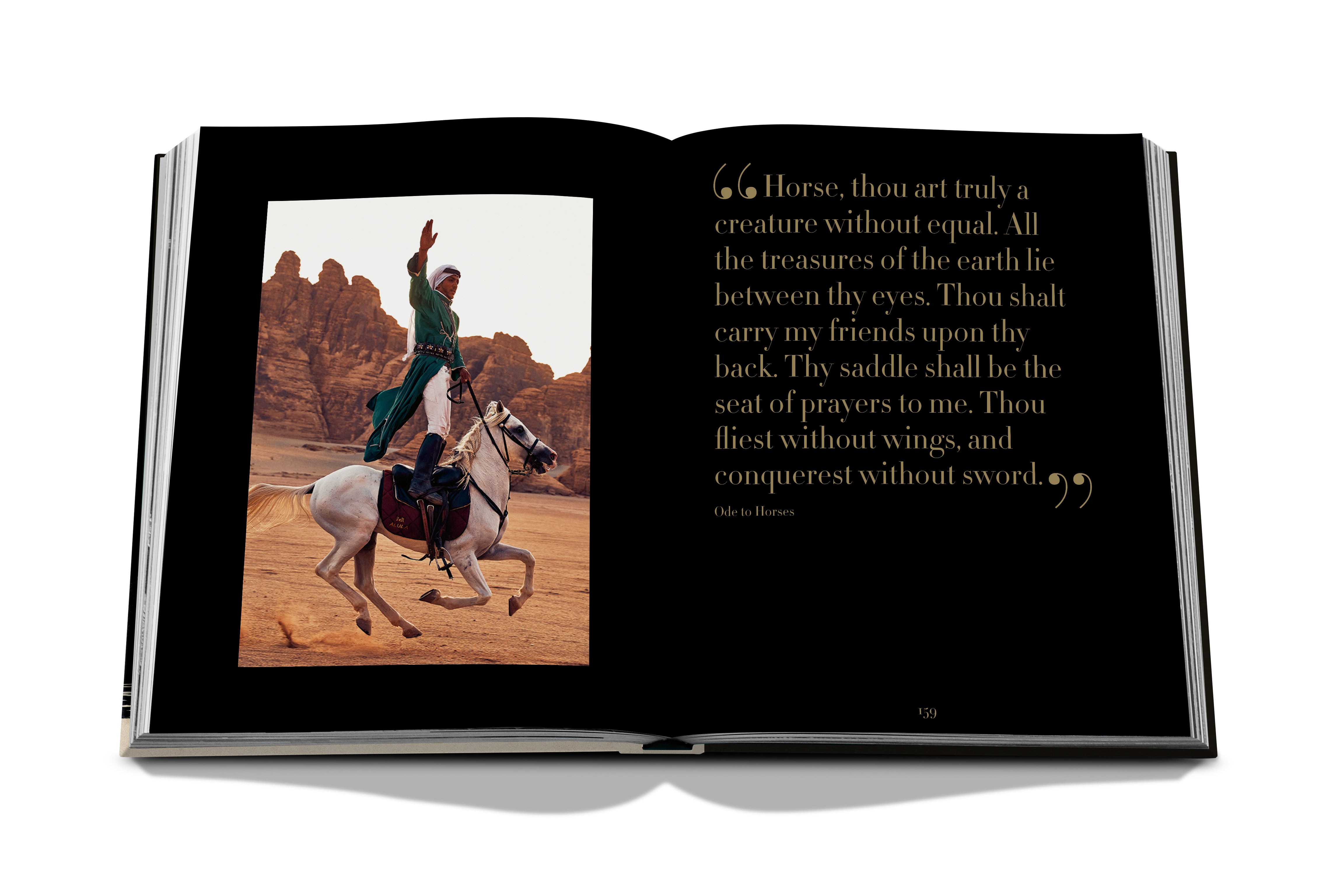 Horses from saudi arabia 9