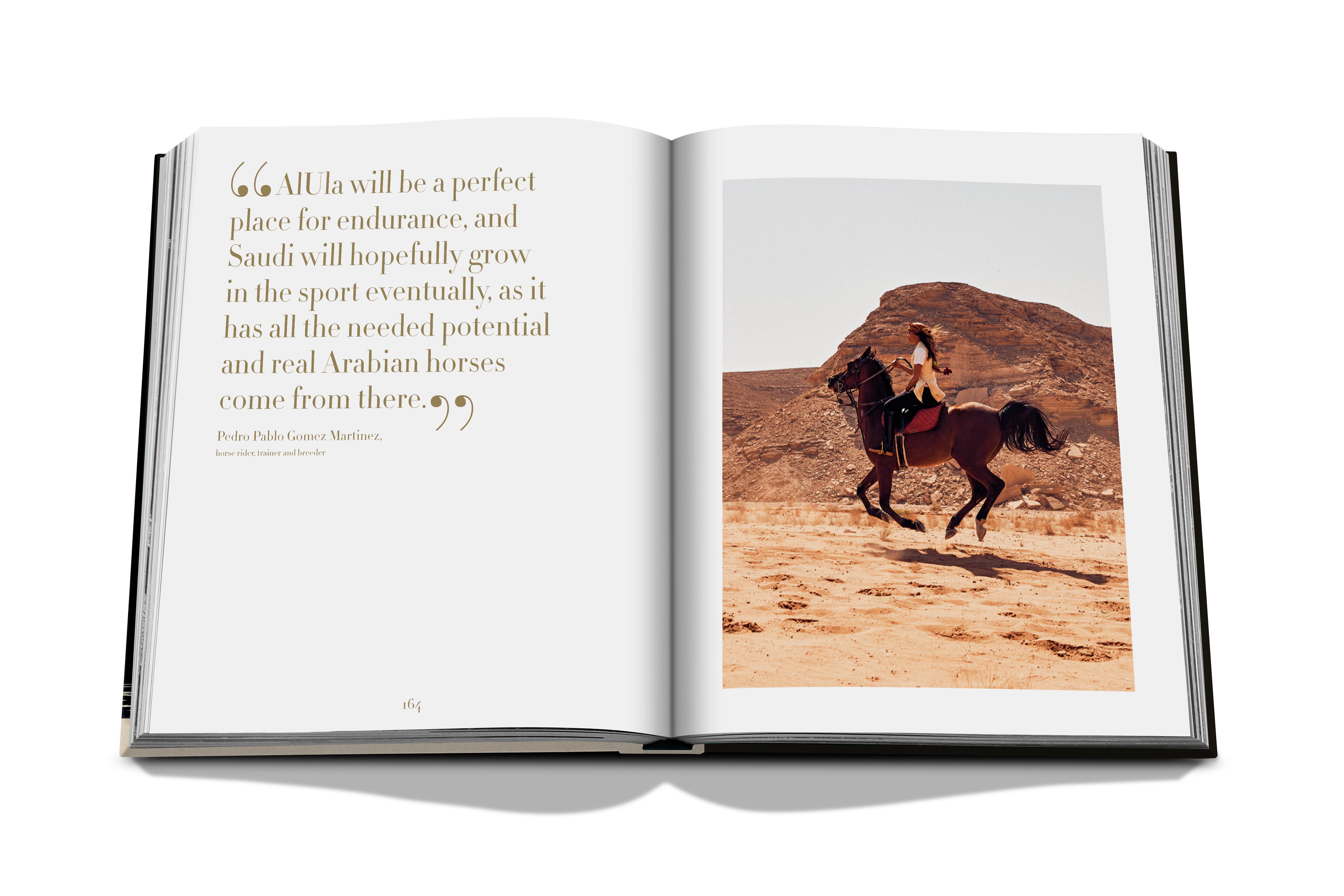Horses from saudi arabia 10