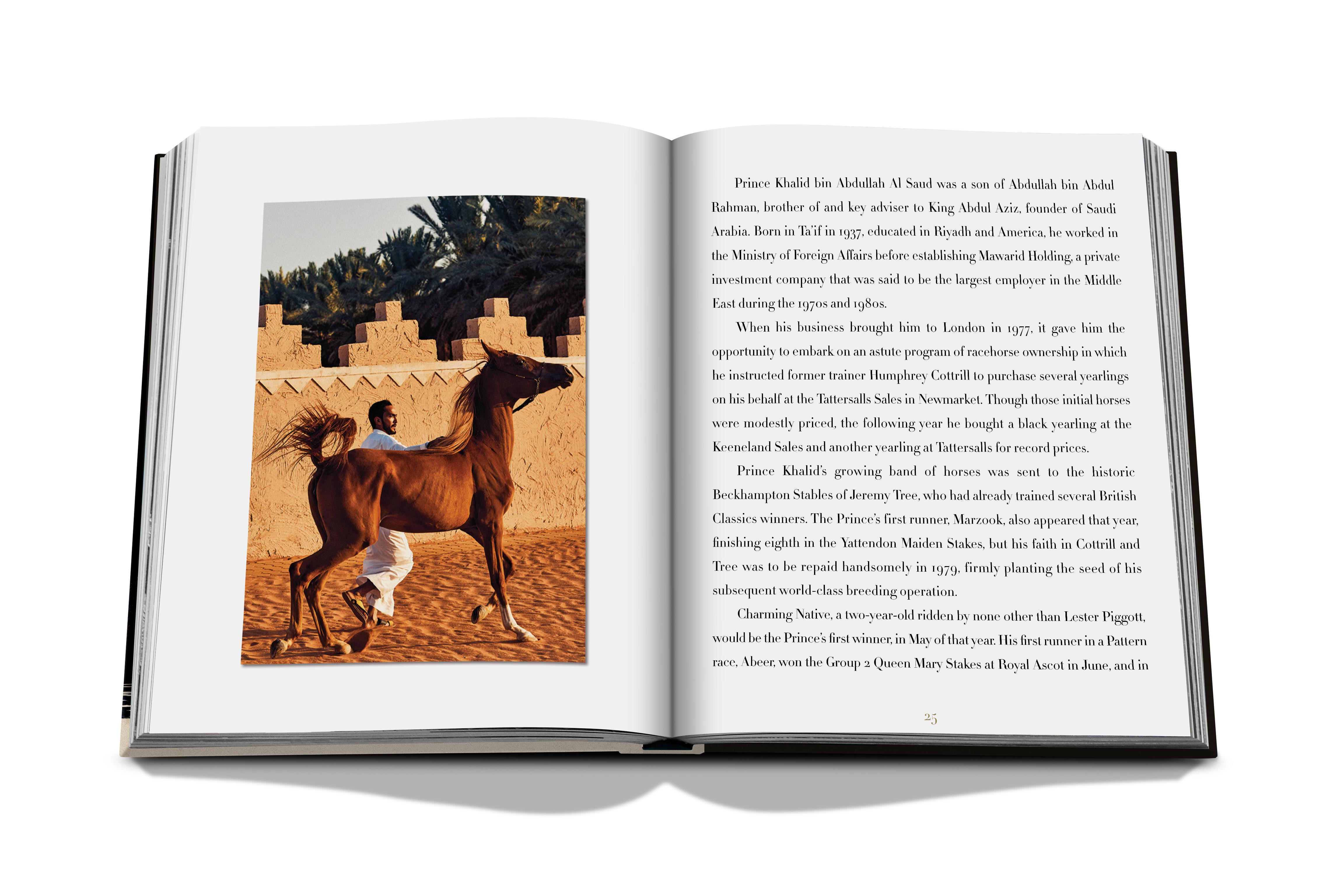 Horses from saudi arabia 11