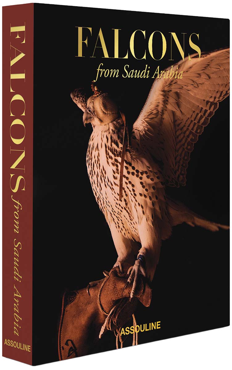 Falcons from saudi arabia 1