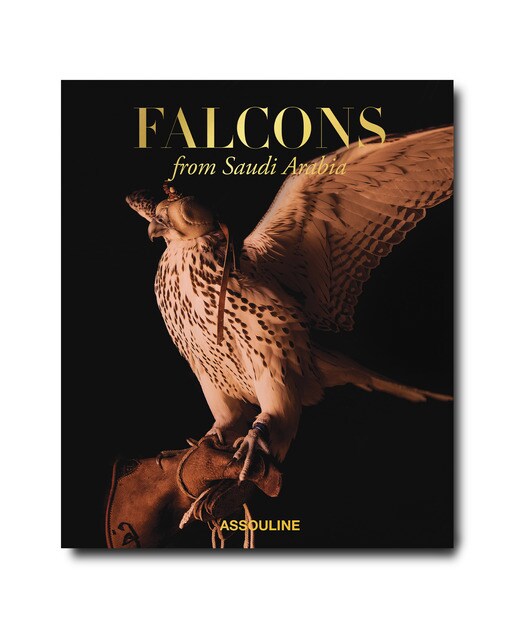 Falcons from saudi arabia 2