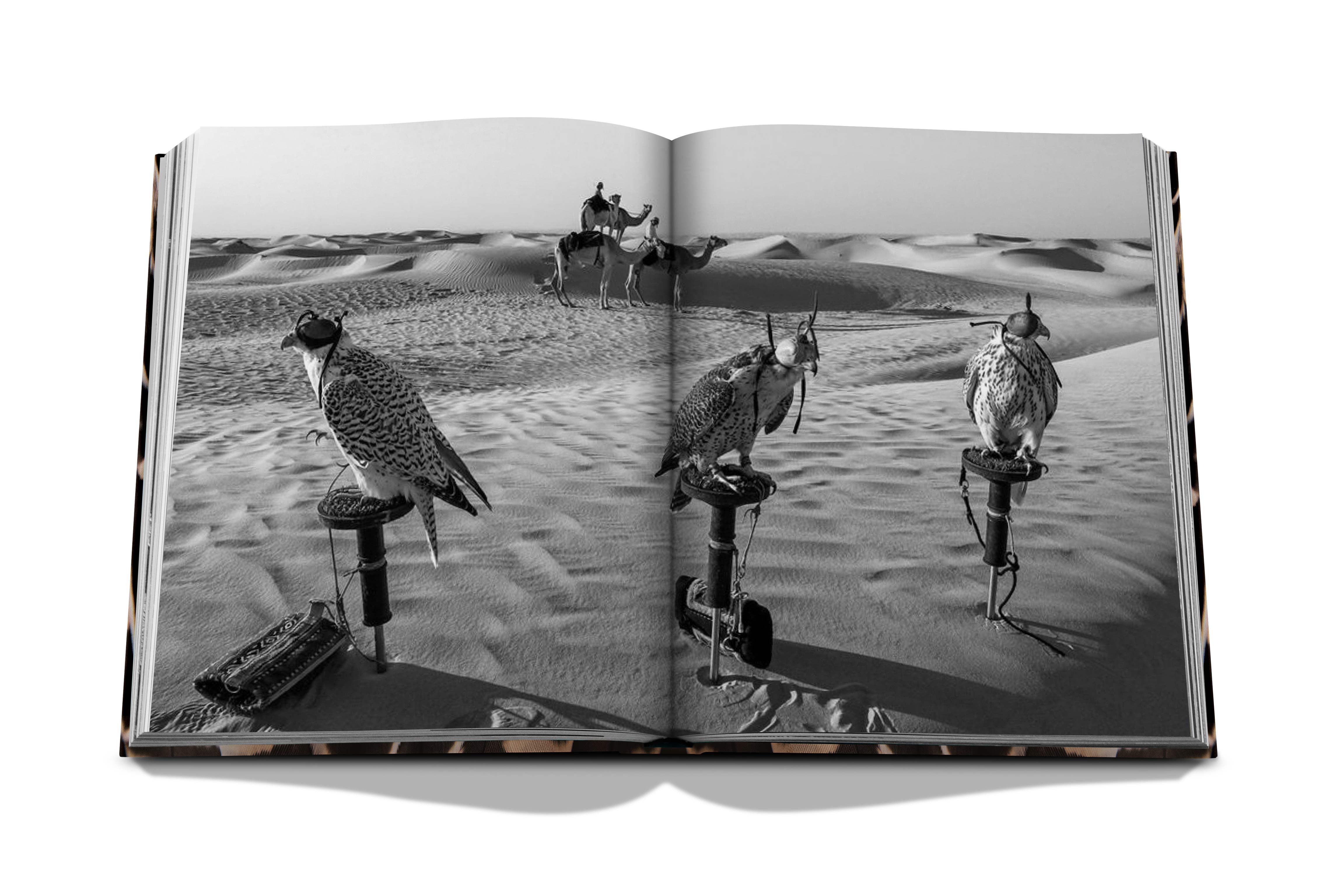 Falcons from saudi arabia 11