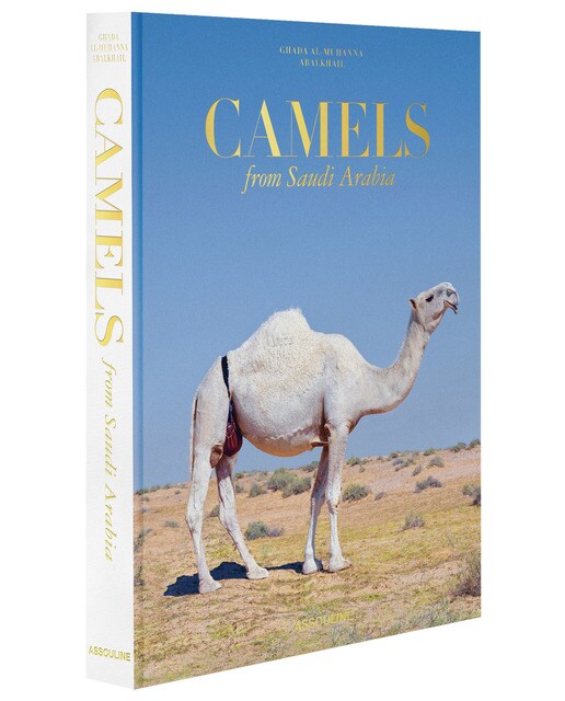 Camels from saudi arabia (classic) 1